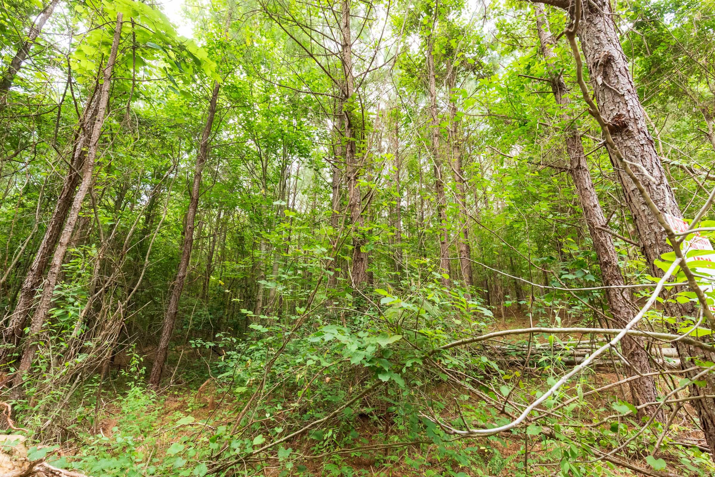 Whiskey Ridge Tract 93 photo 2