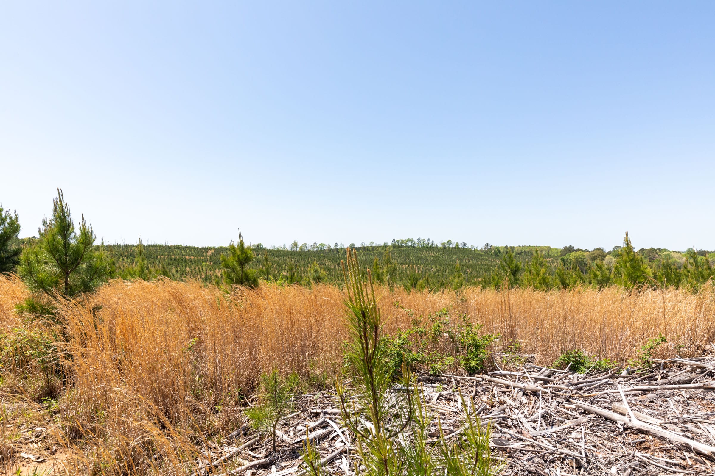 Clear Wood Tract 59 photo 7