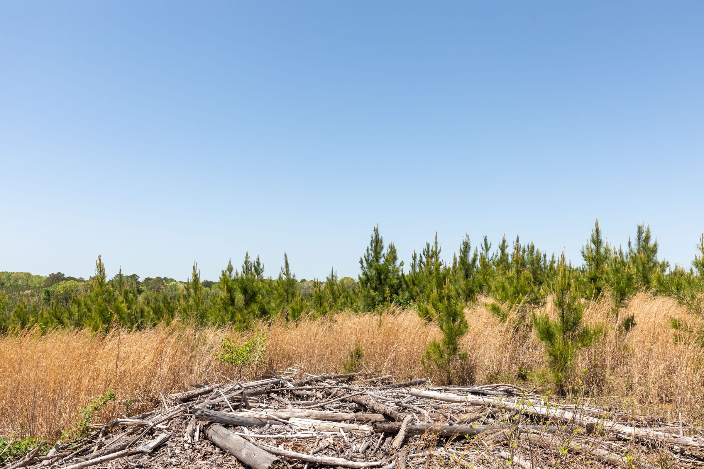 Clear Wood Tract 59 photo 8