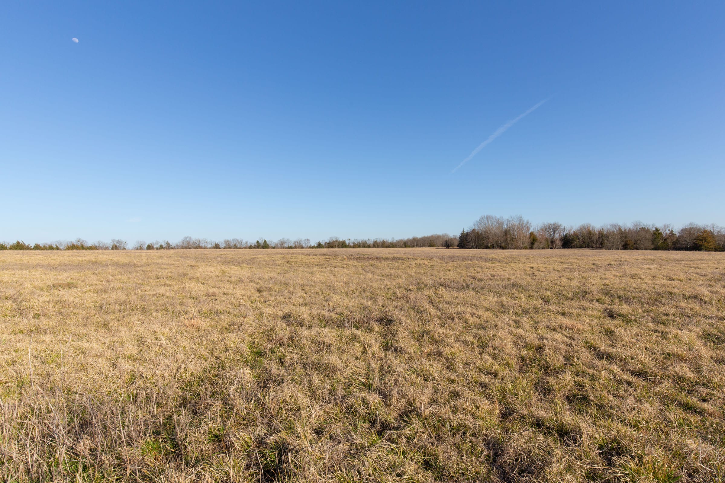 Wishing Star Ranch Tract 73 photo 5