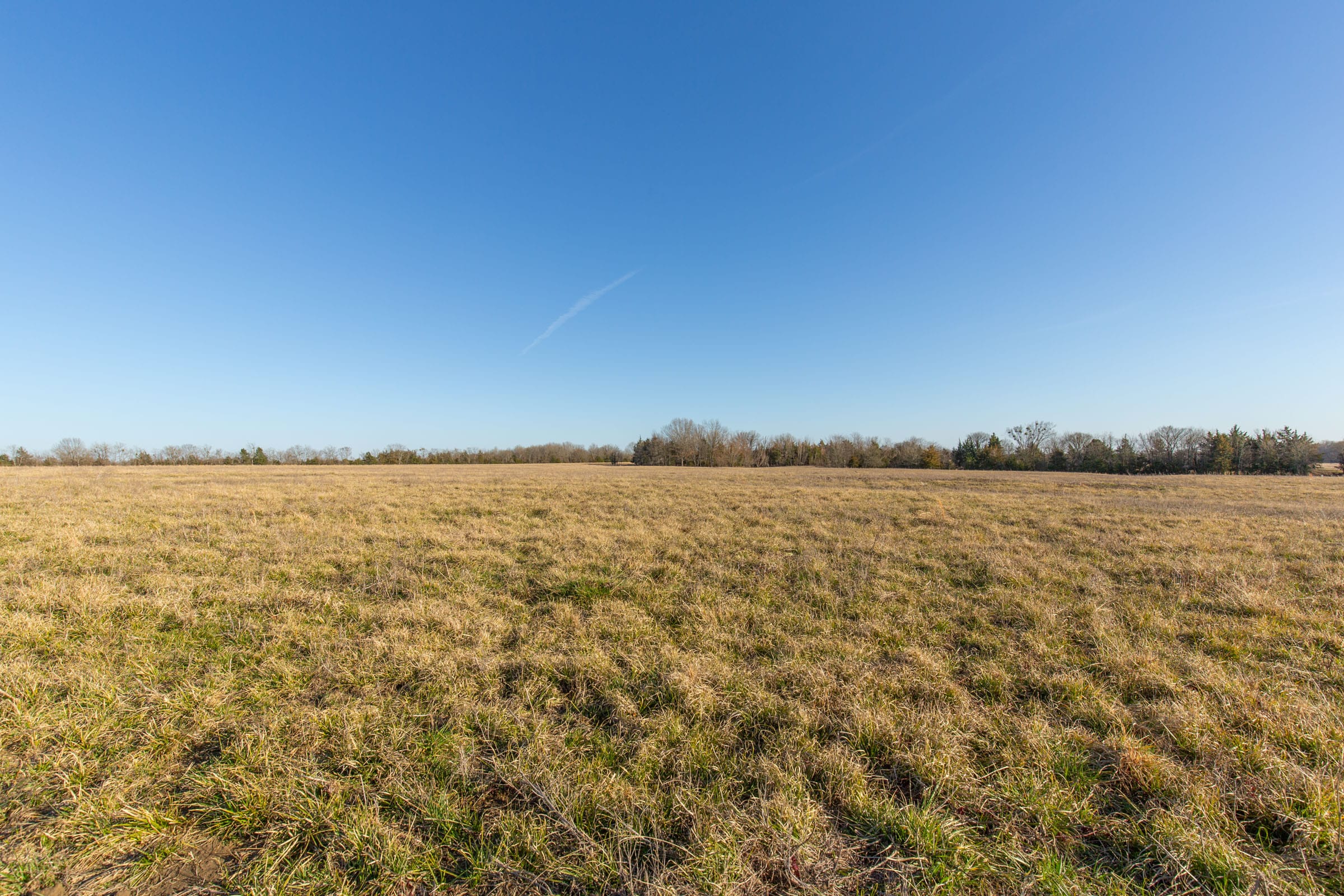 Wishing Star Ranch Tract 73 photo 6