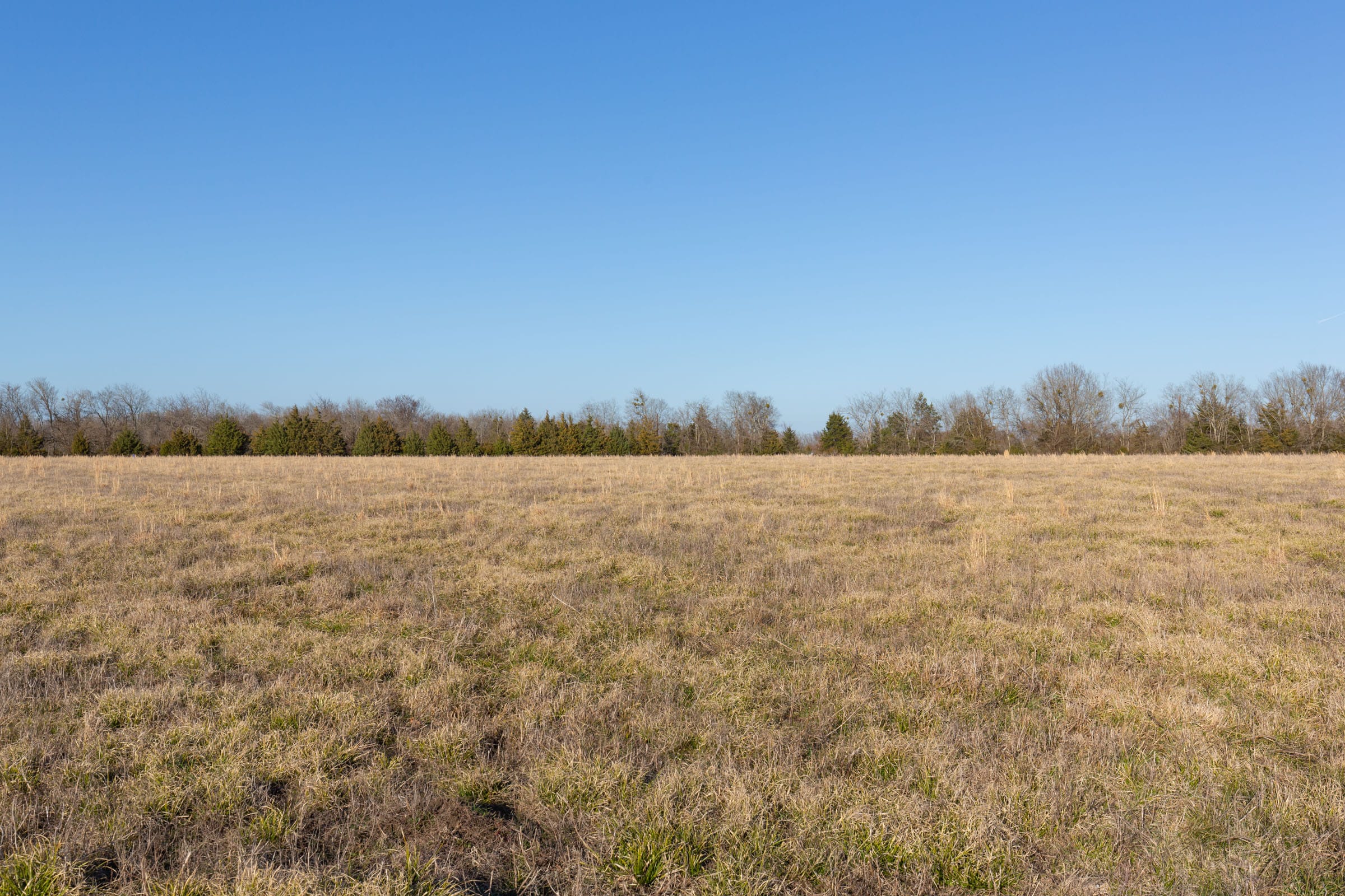 Wishing Star Ranch Tract 73 photo 9