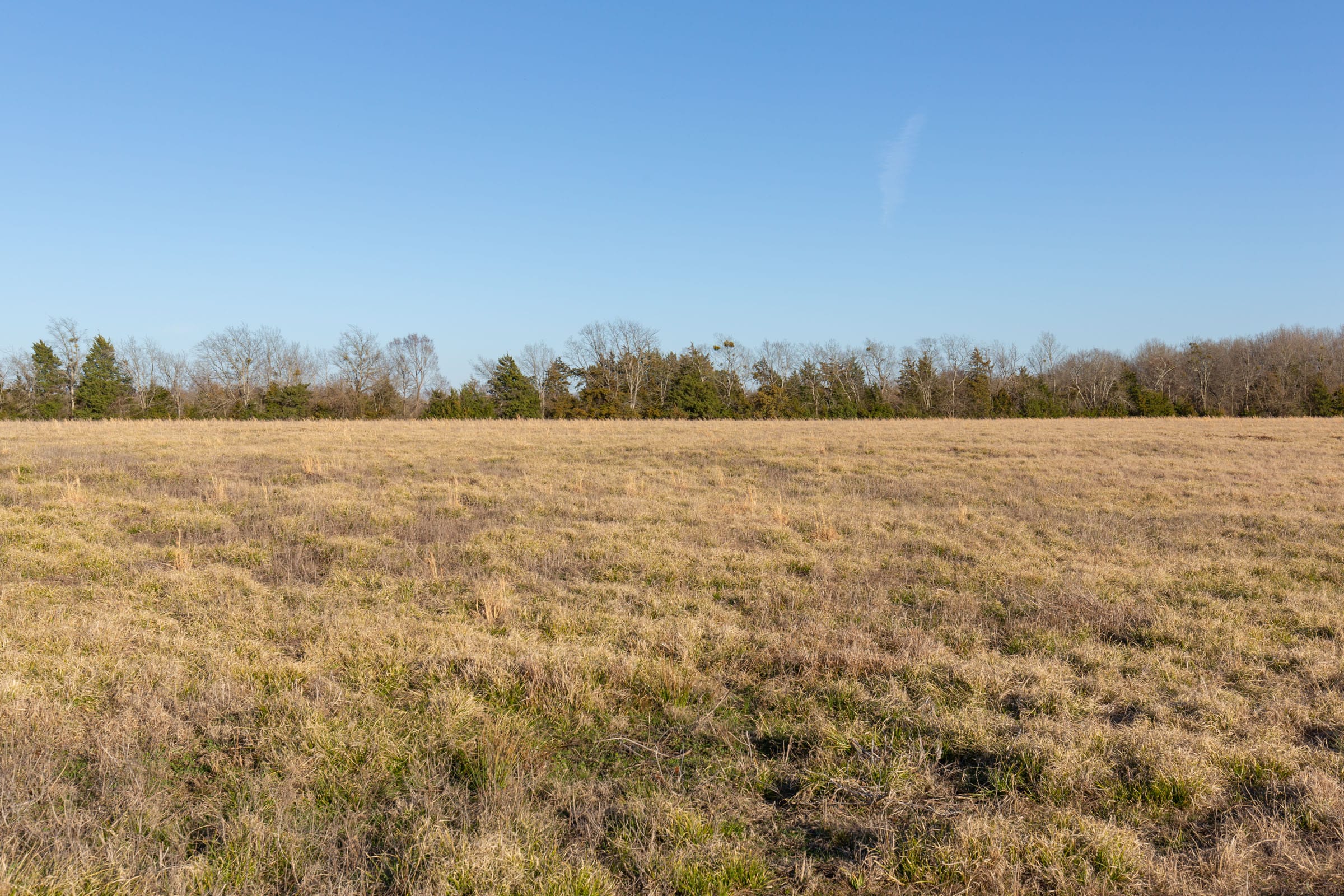 Wishing Star Ranch Tract 73 photo 10
