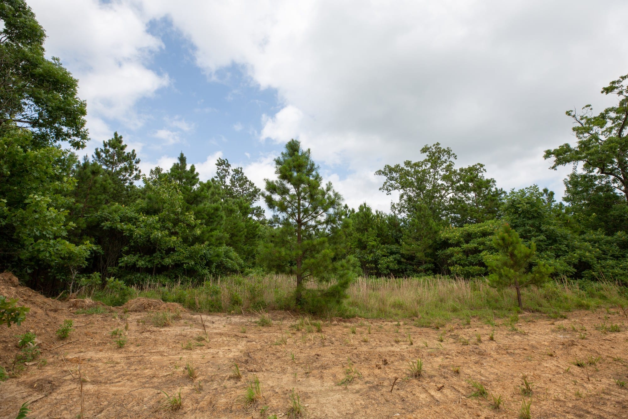 Eagle’s Nest Tract 45 photo 4