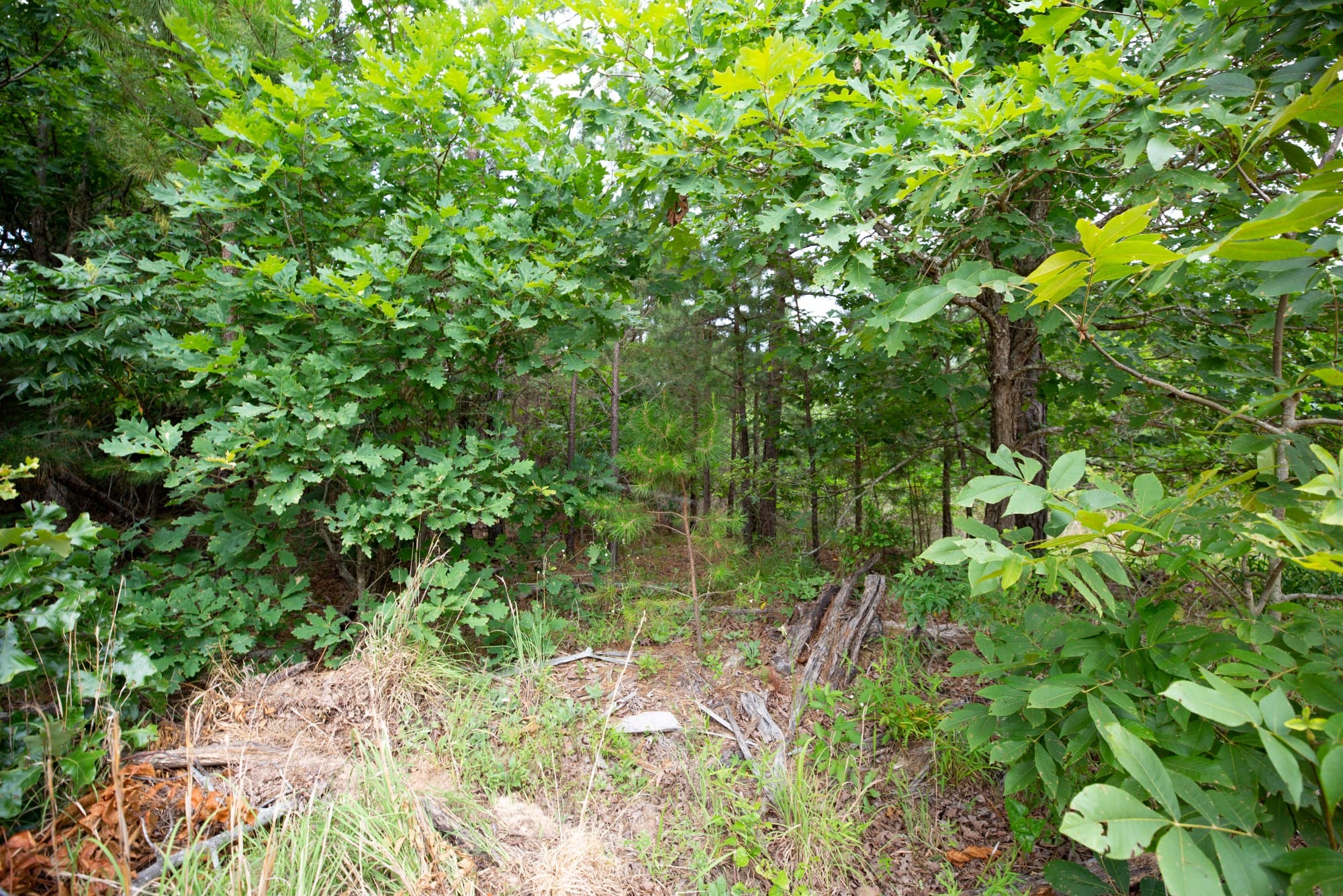 Eagle’s Nest Tract 45 photo 7