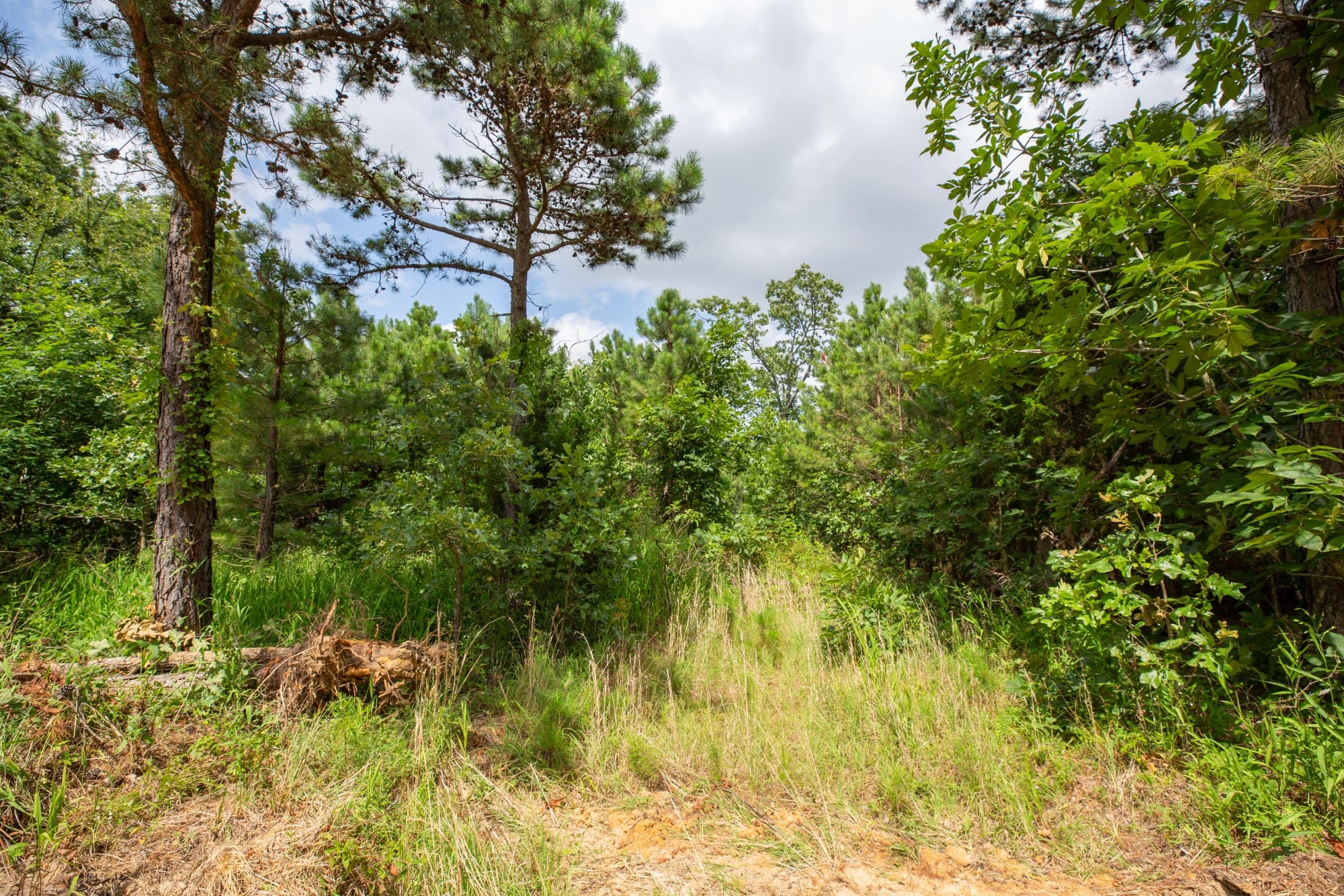 Eagle’s Nest Tract 45 photo 9