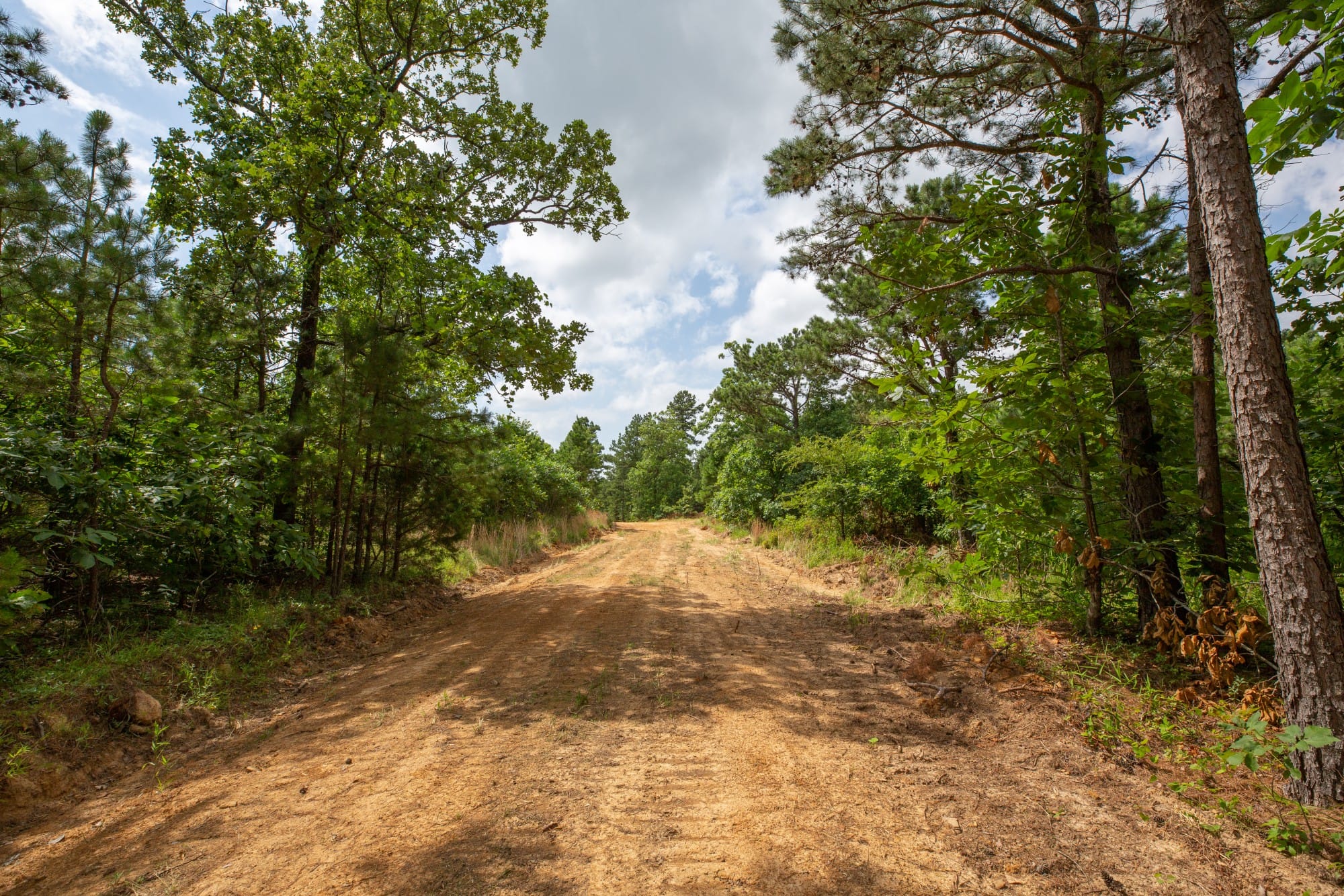 Eagle’s Nest Tract 45 photo 5