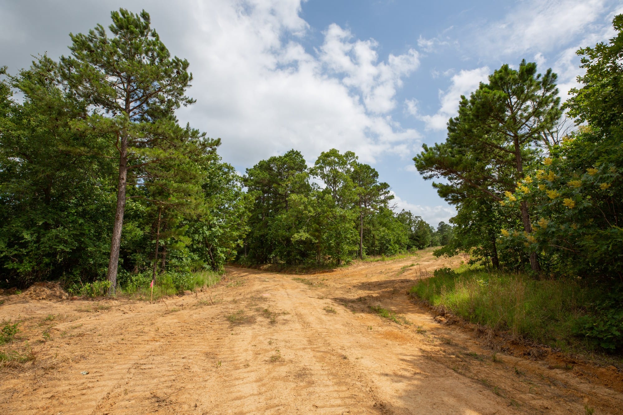 Eagle’s Nest Tract 45 photo 8