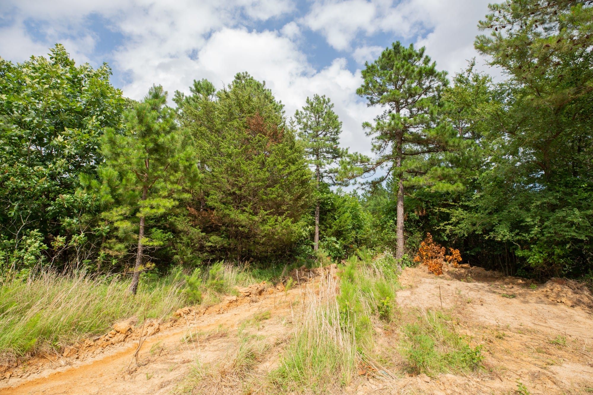 Eagle’s Nest Tract 45 photo 11