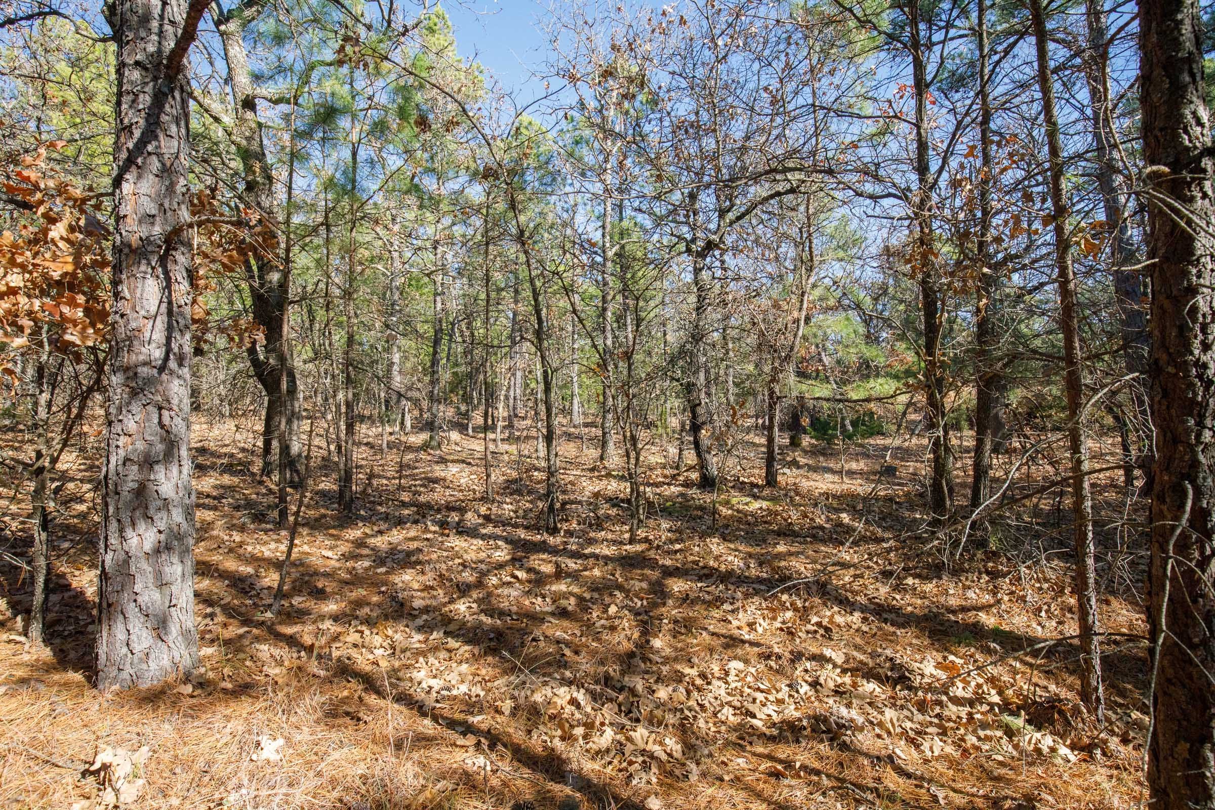 Stone Bridge Phase II Tract 102 photo 4