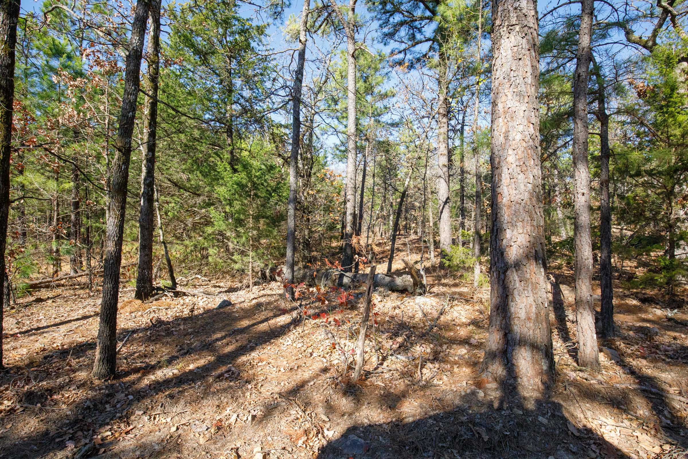 Stone Bridge Phase II Tract 102 photo 5