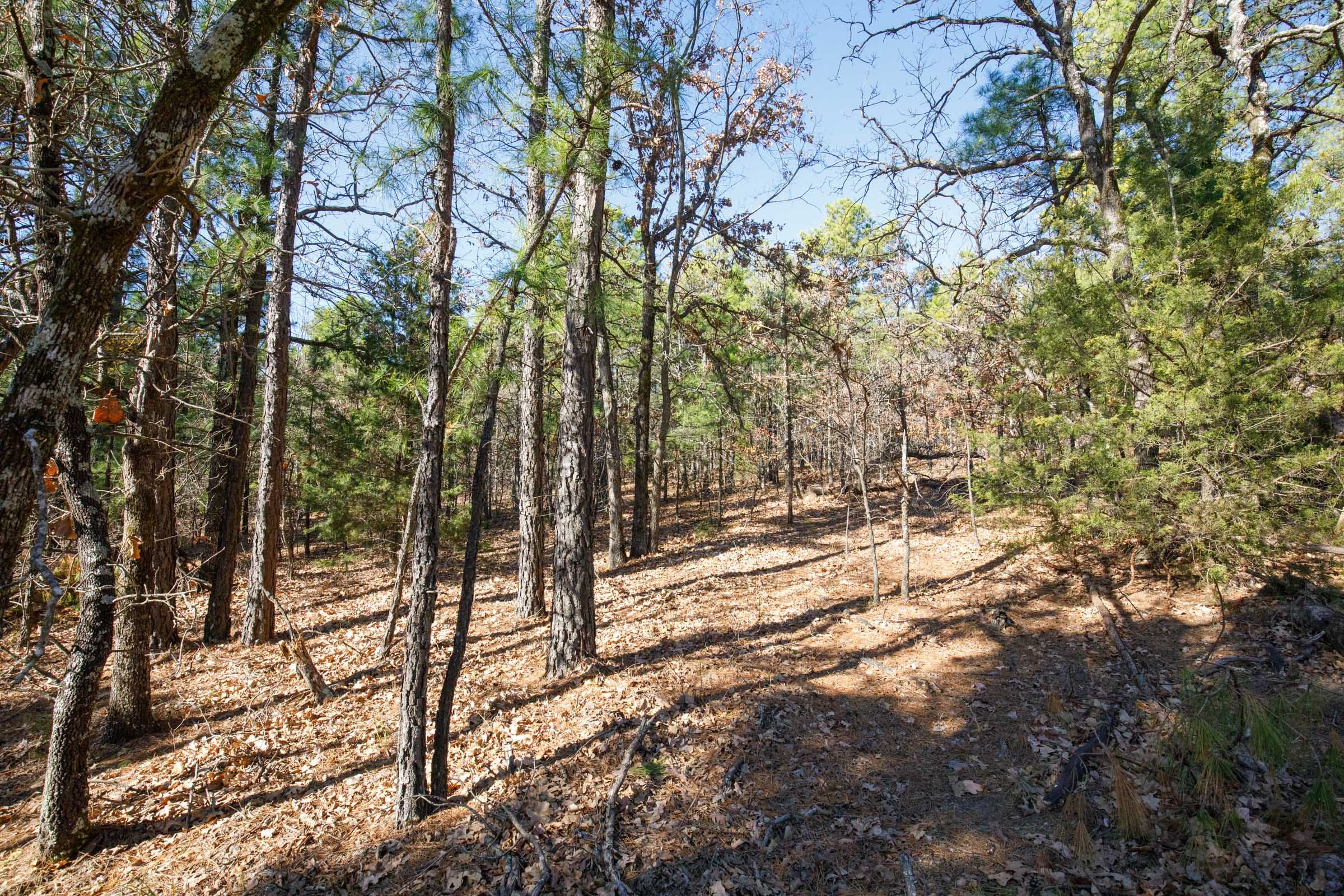 Stone Bridge Phase II Tract 102 photo 7