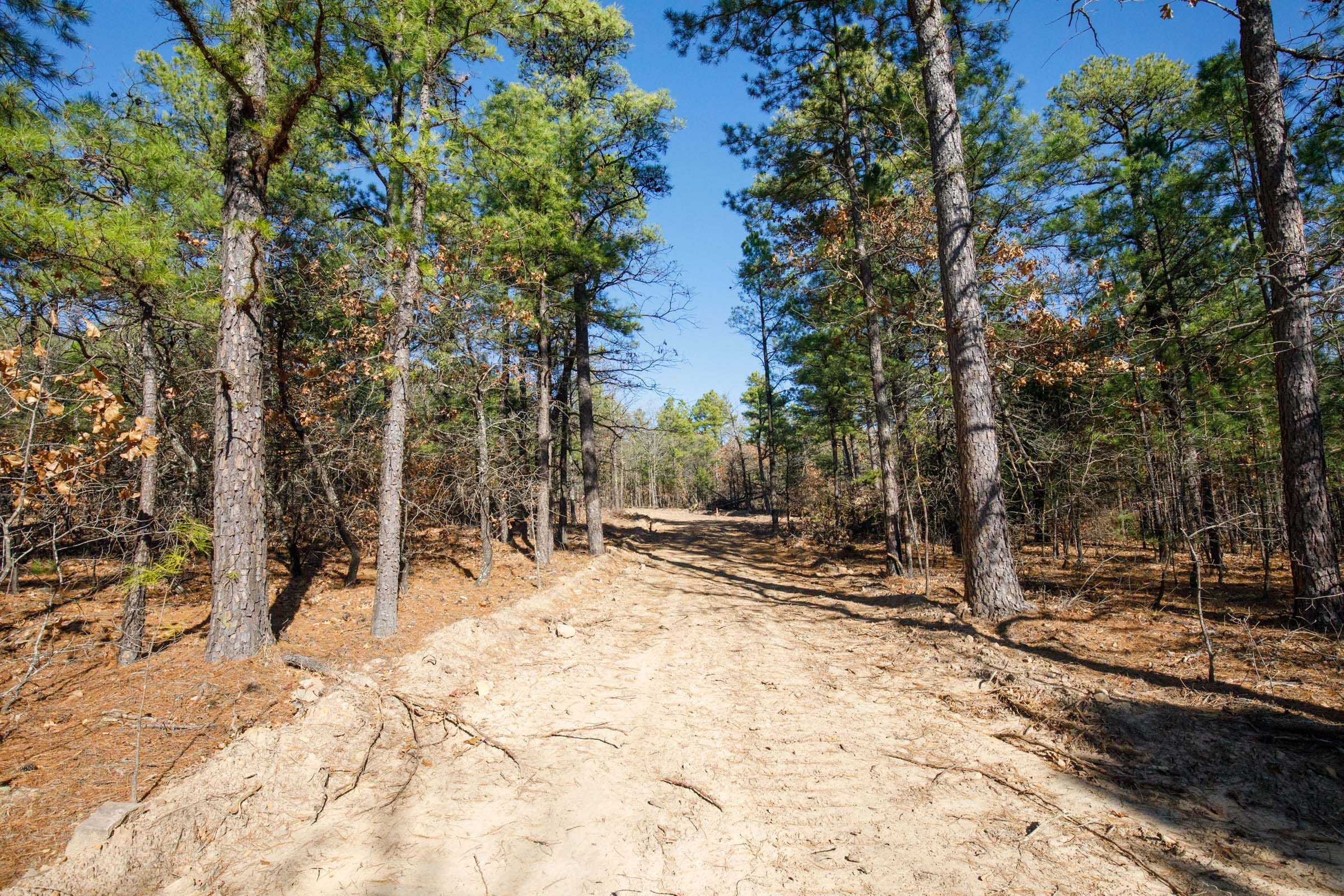 Stone Bridge Phase II Tract 102 photo 6