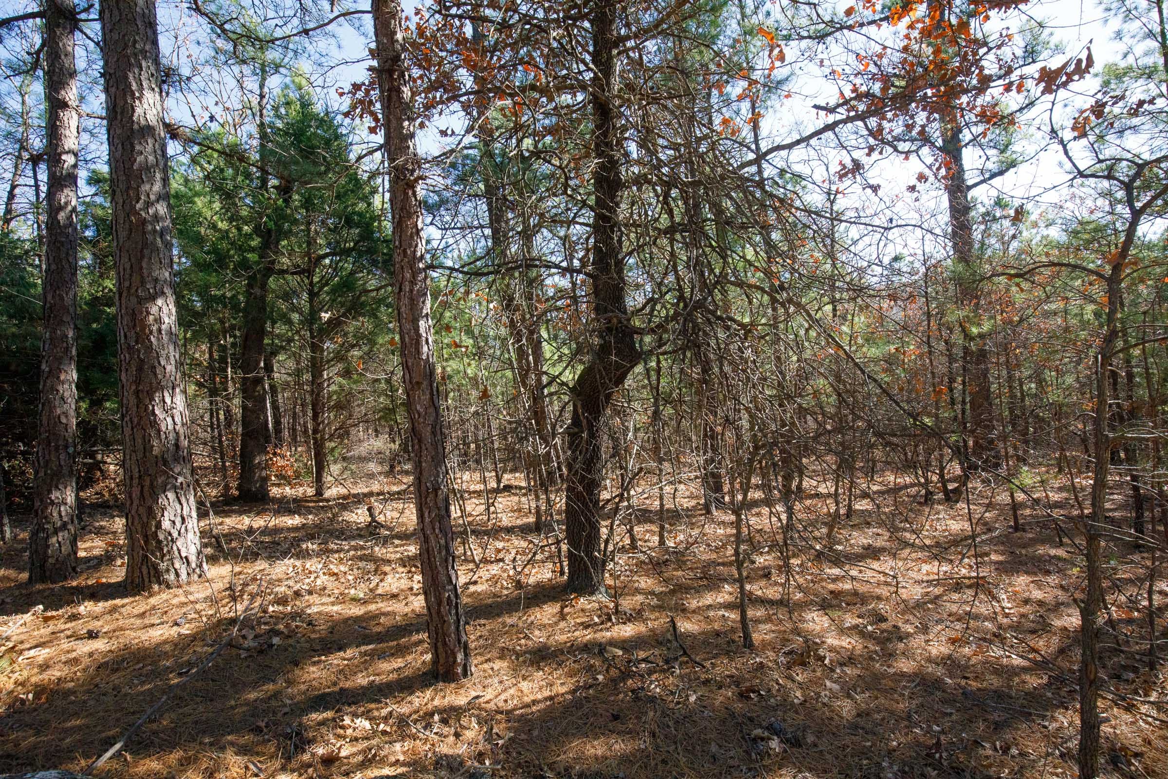 Stone Bridge Phase II Tract 102 photo 10