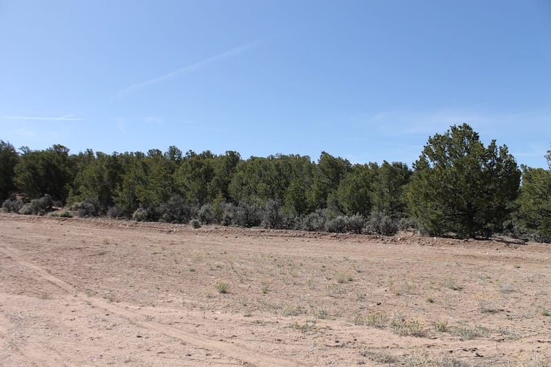 Sangre De Cristo Ranches Tract 7370 photo 6