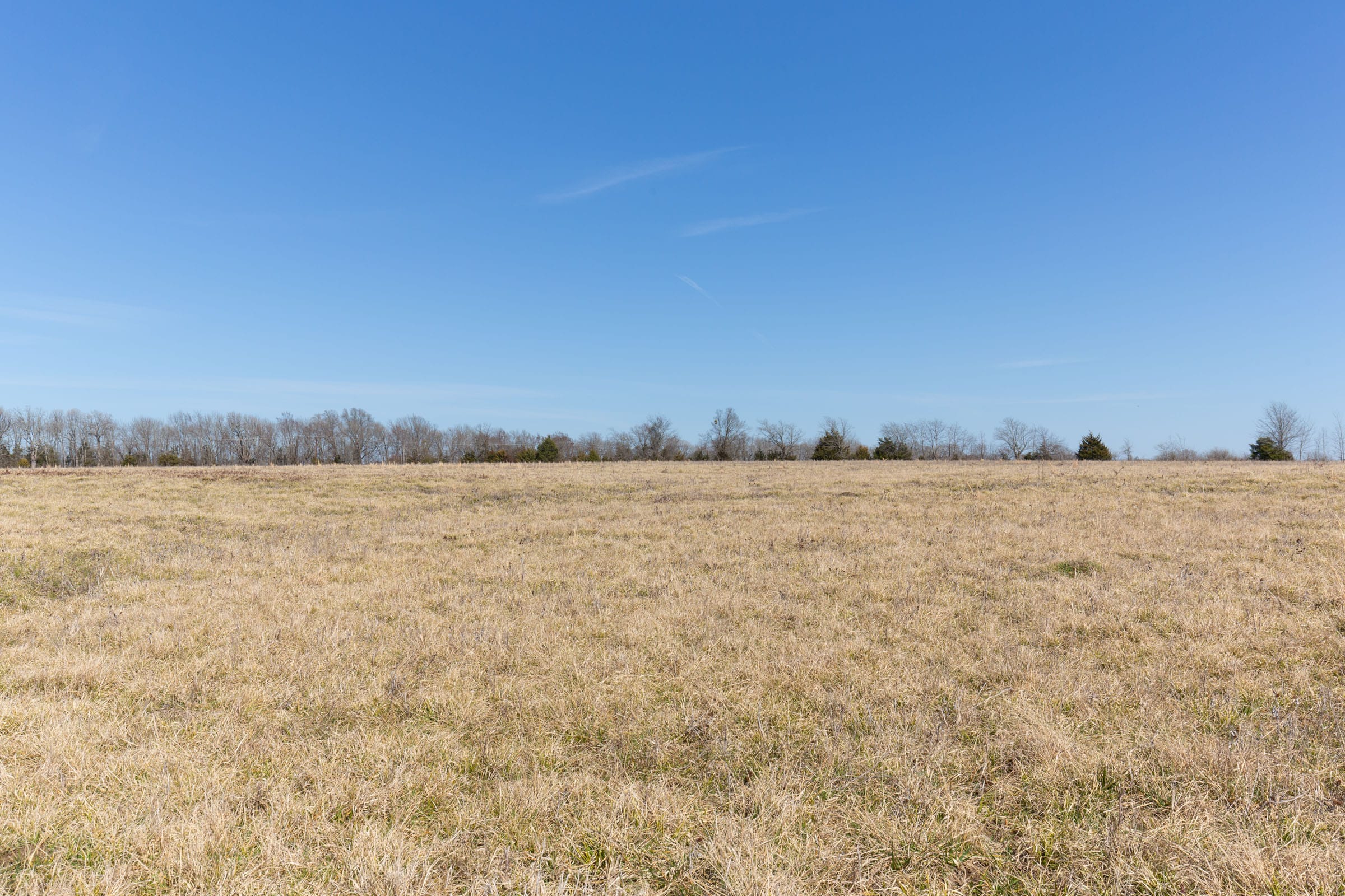 Wishing Star Ranch Tract 25 photo 4