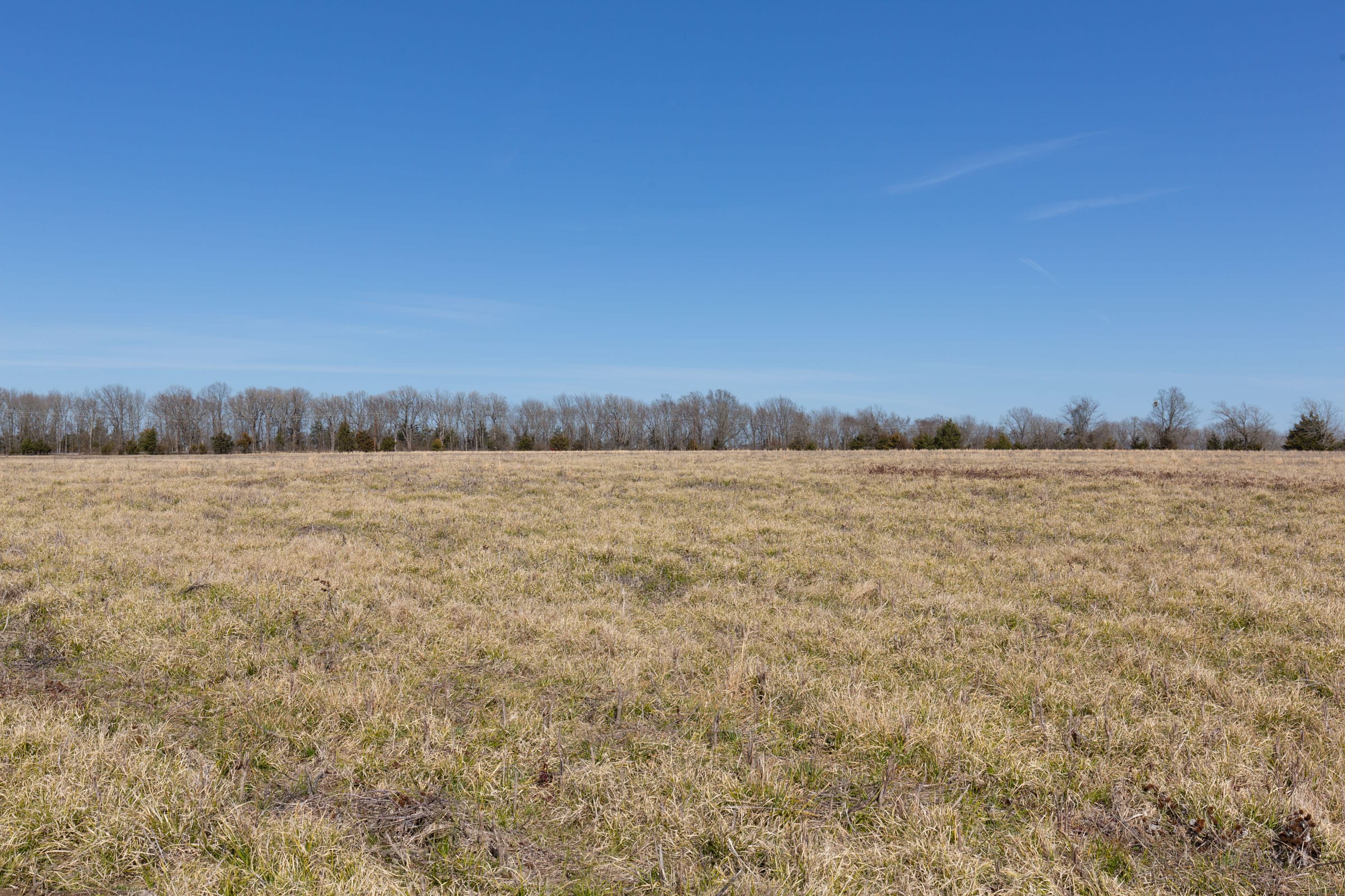 Wishing Star Ranch Tract 25 photo 6