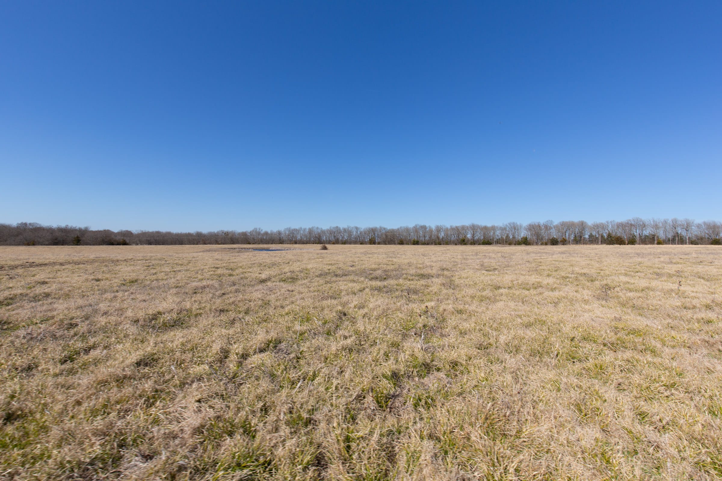 Wishing Star Ranch Tract 25 photo 7