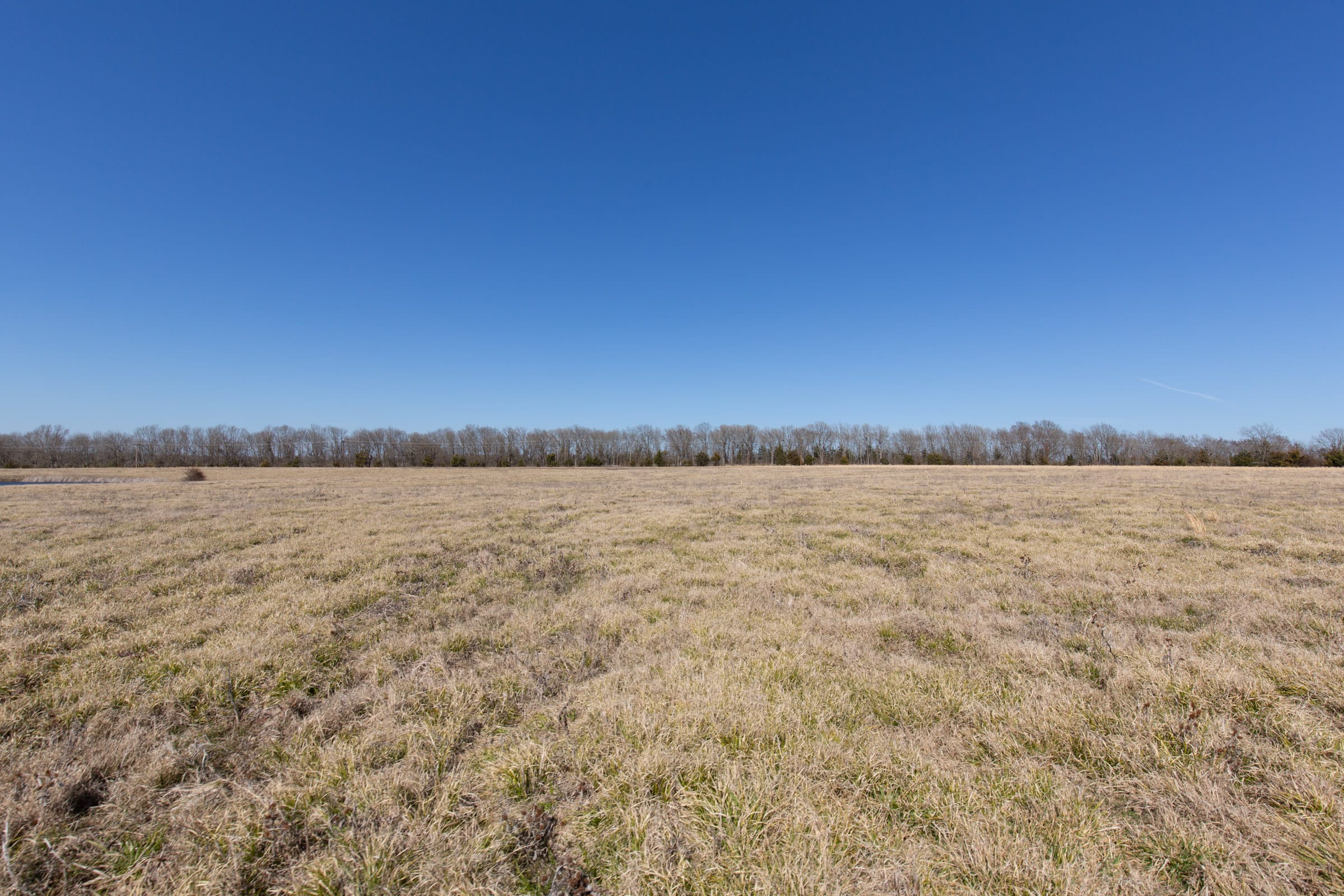 Wishing Star Ranch Tract 25 photo 8