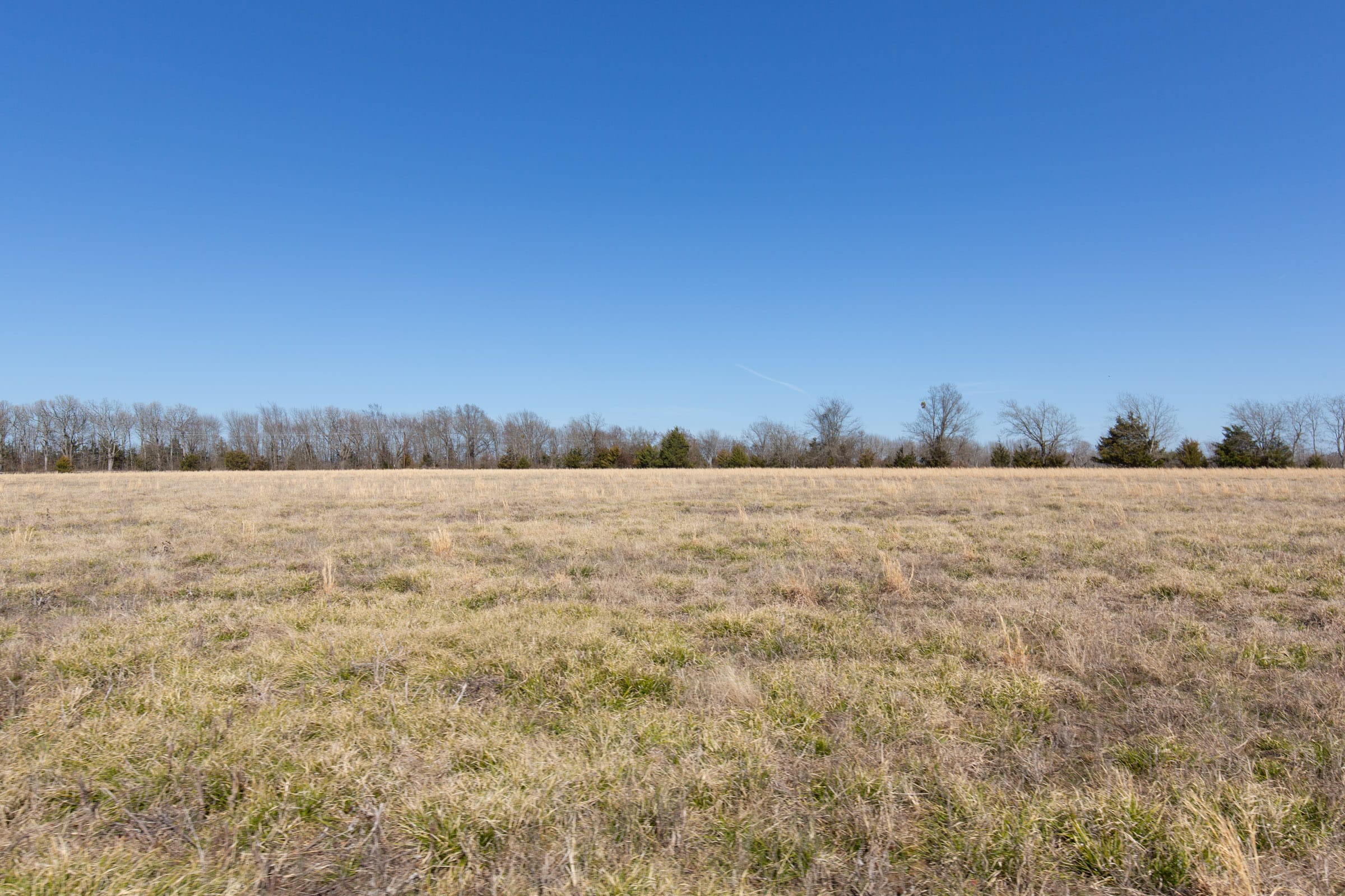 Wishing Star Ranch Tract 25 photo 12