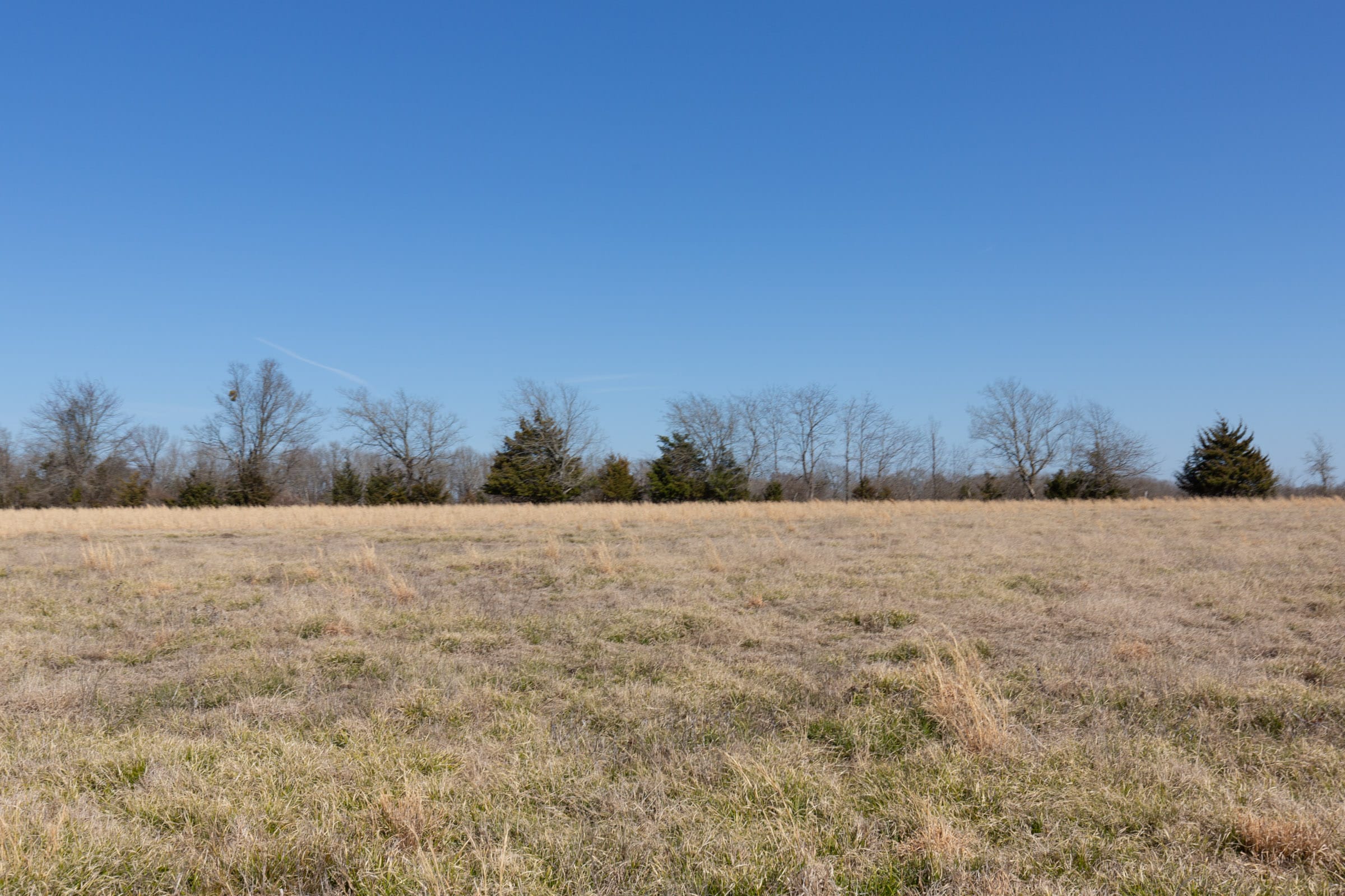 Wishing Star Ranch Tract 25 photo 13