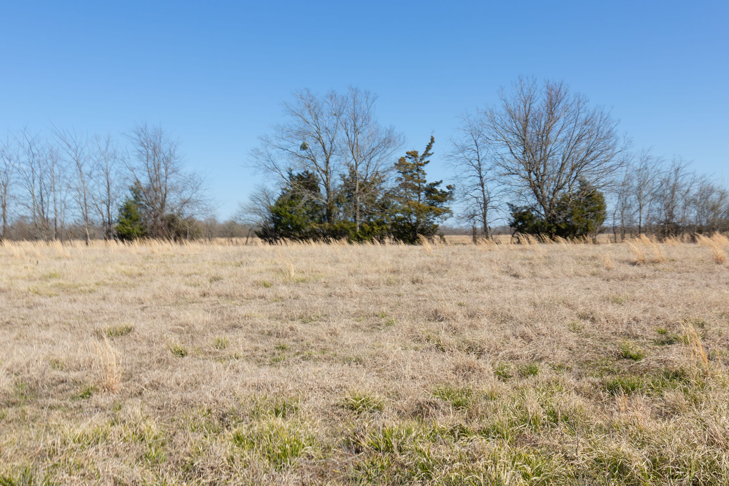 Wishing Star Ranch Tract 25 photo 16