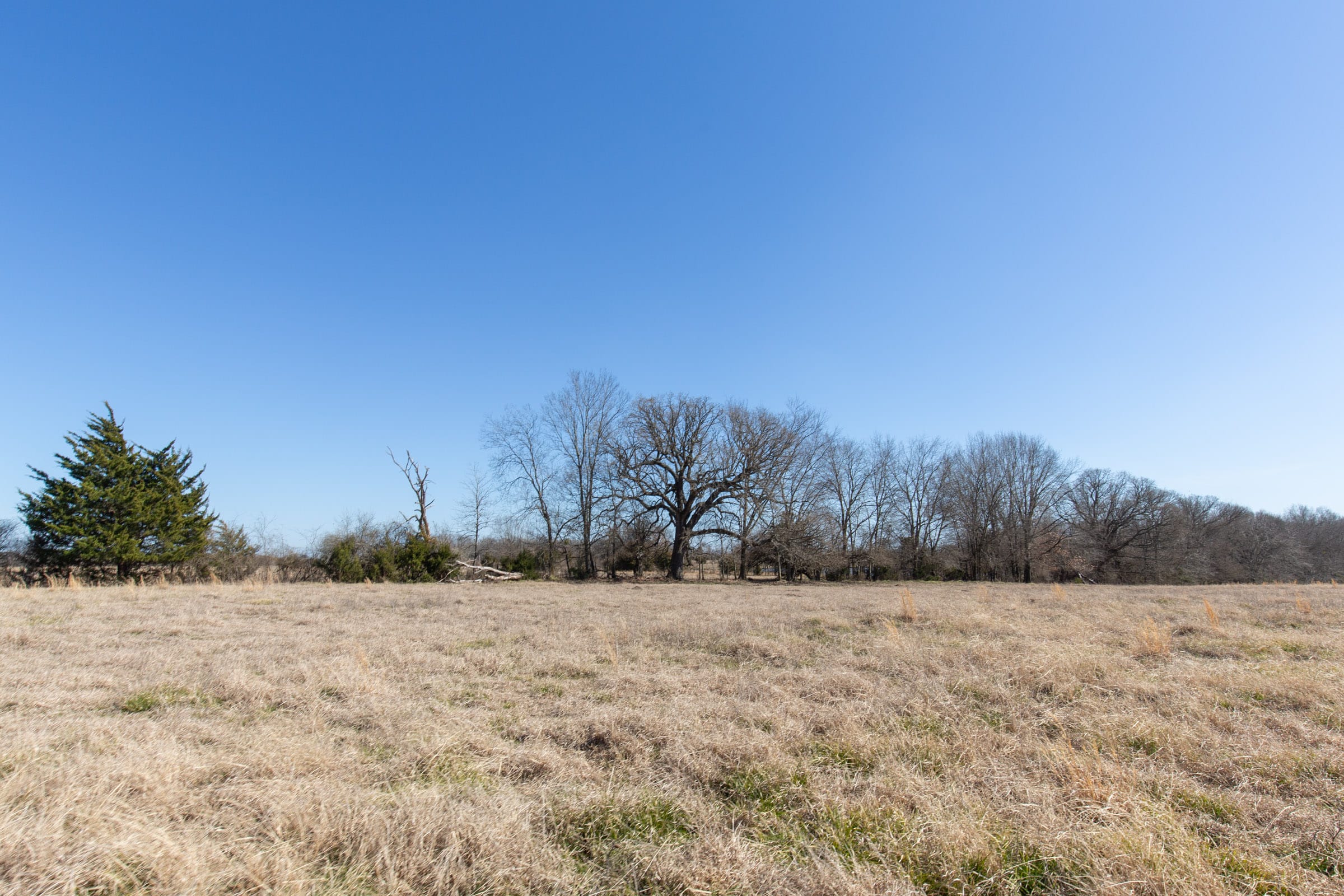 Wishing Star Ranch Tract 25 photo 18