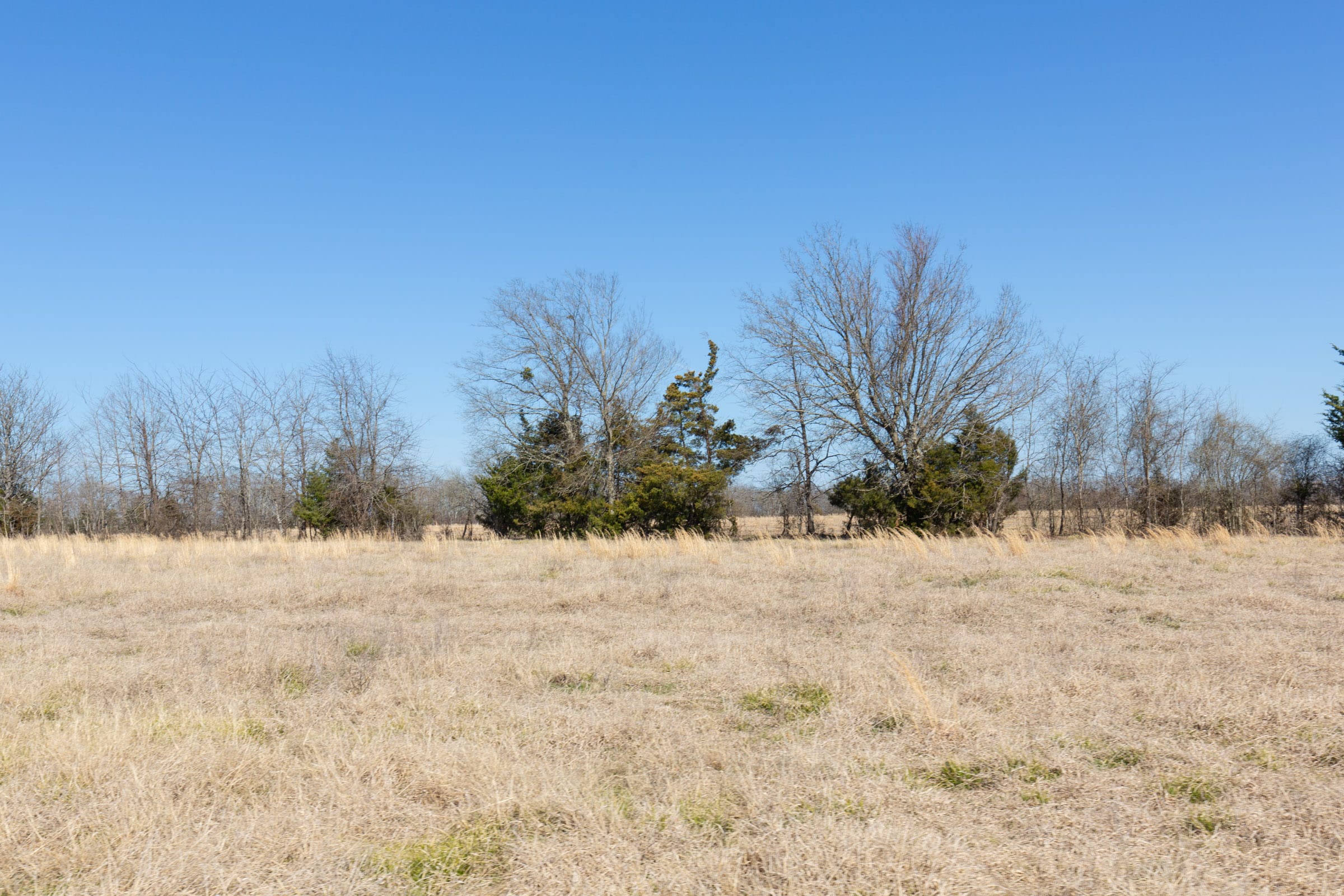 Wishing Star Ranch Tract 25 photo 19