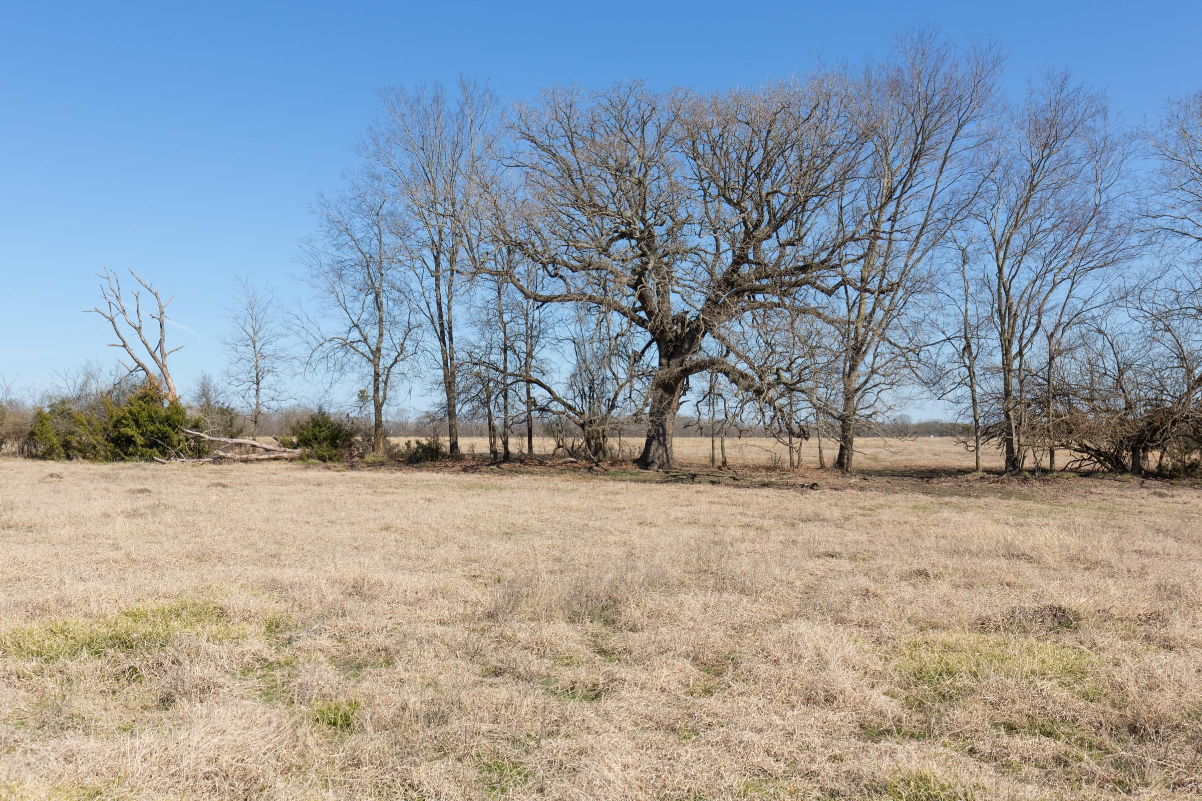 Wishing Star Ranch Tract 25 photo 22