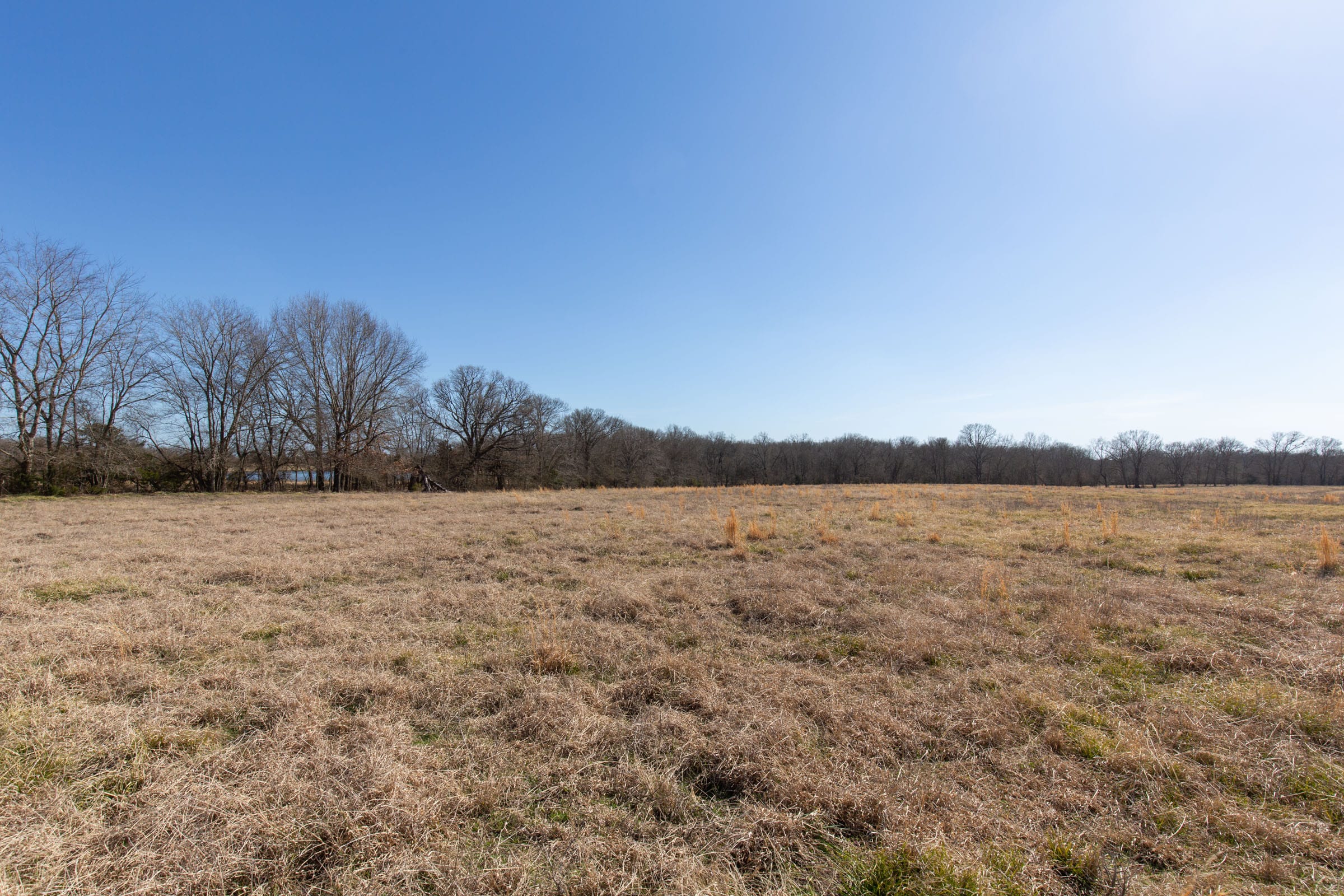 Wishing Star Ranch Tract 25 photo 23