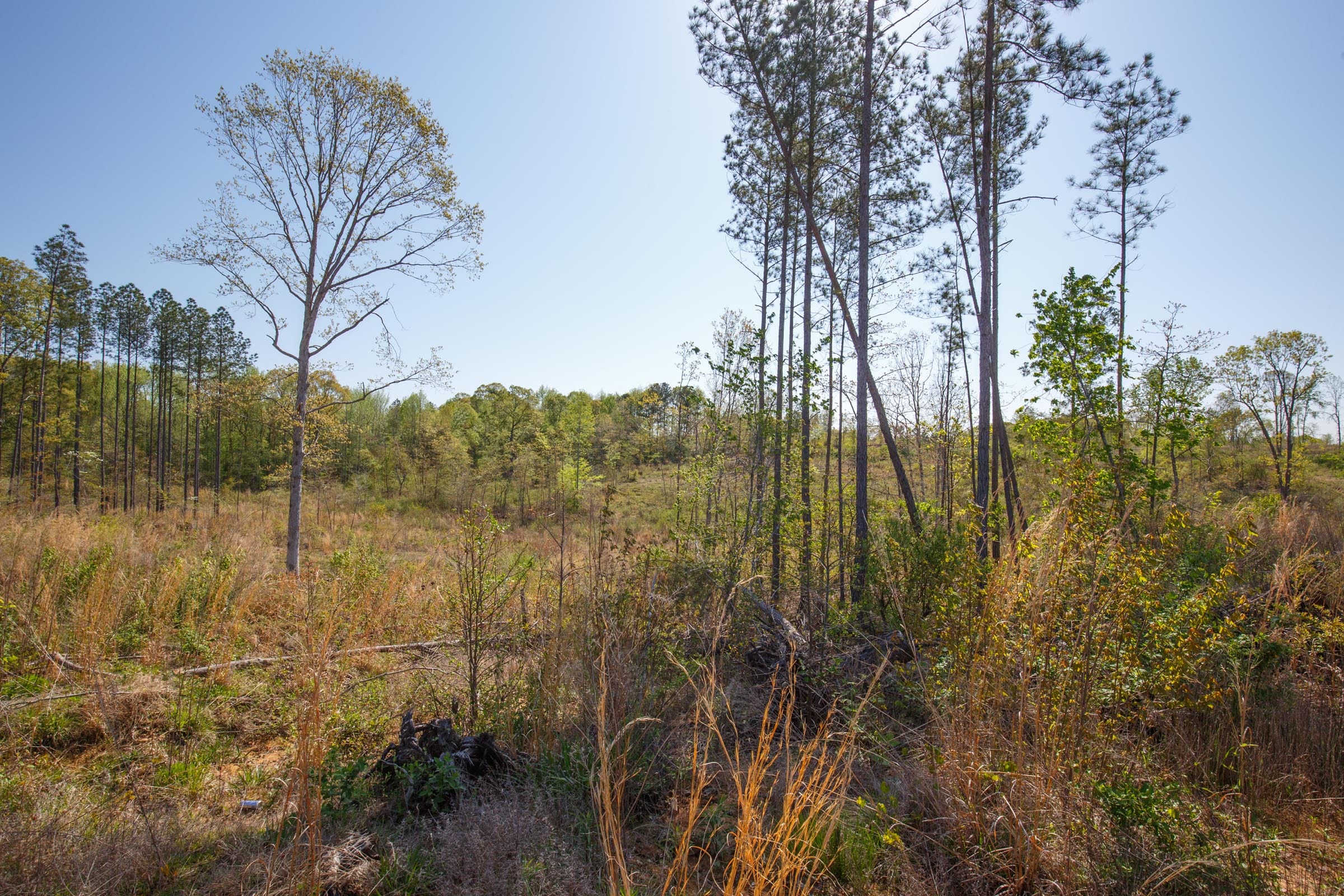 Twin Rivers Tract 4 photo 3