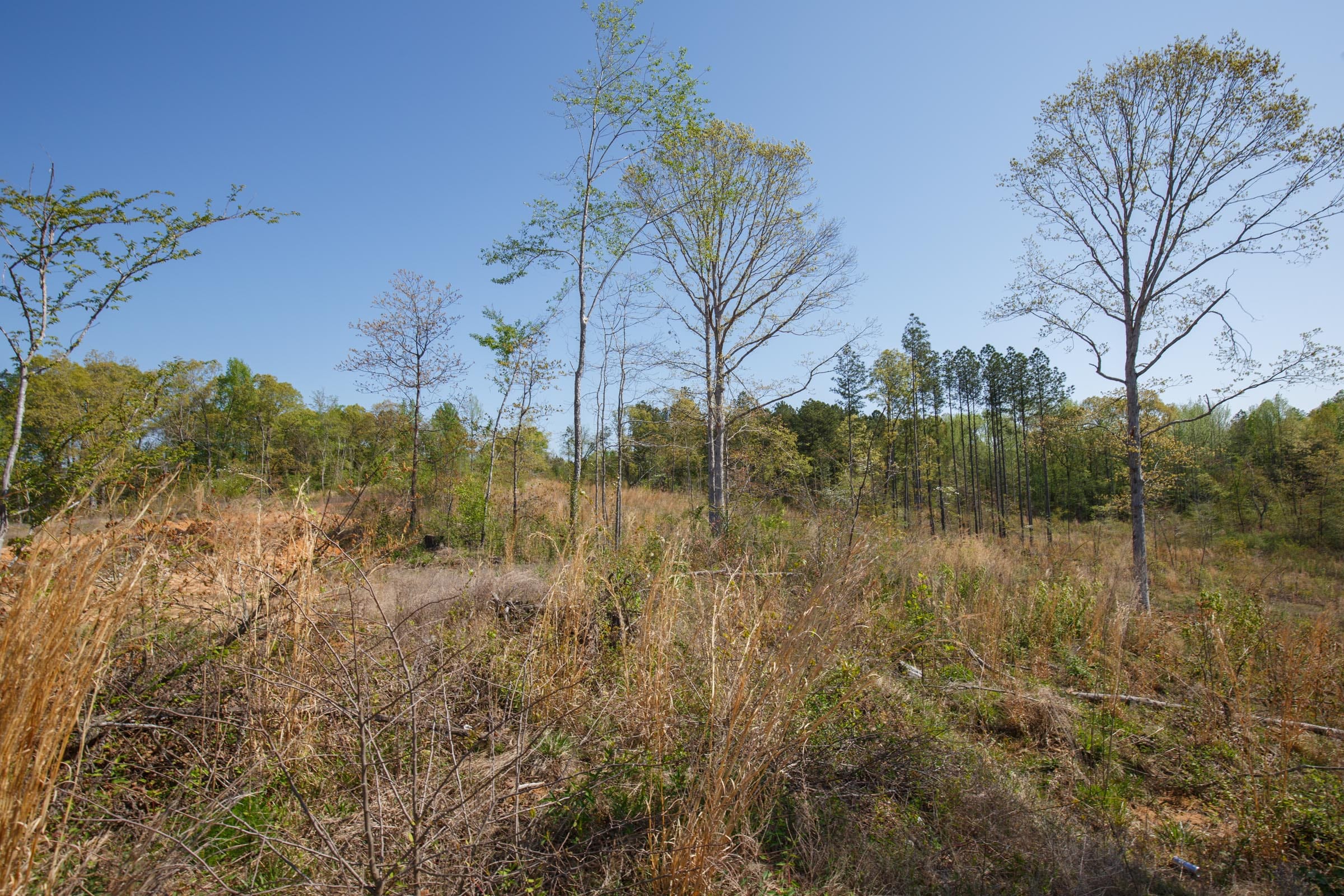 Twin Rivers Tract 4 photo 4