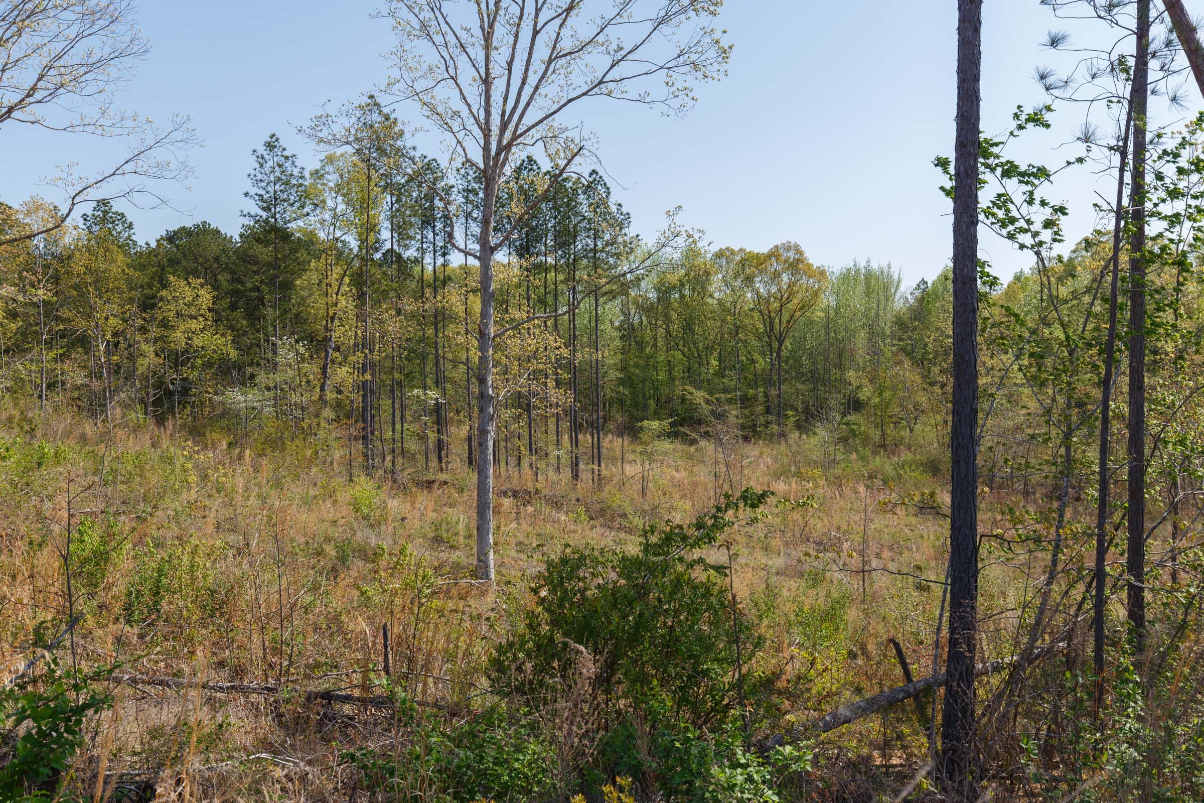 Twin Rivers Tract 4 photo 5