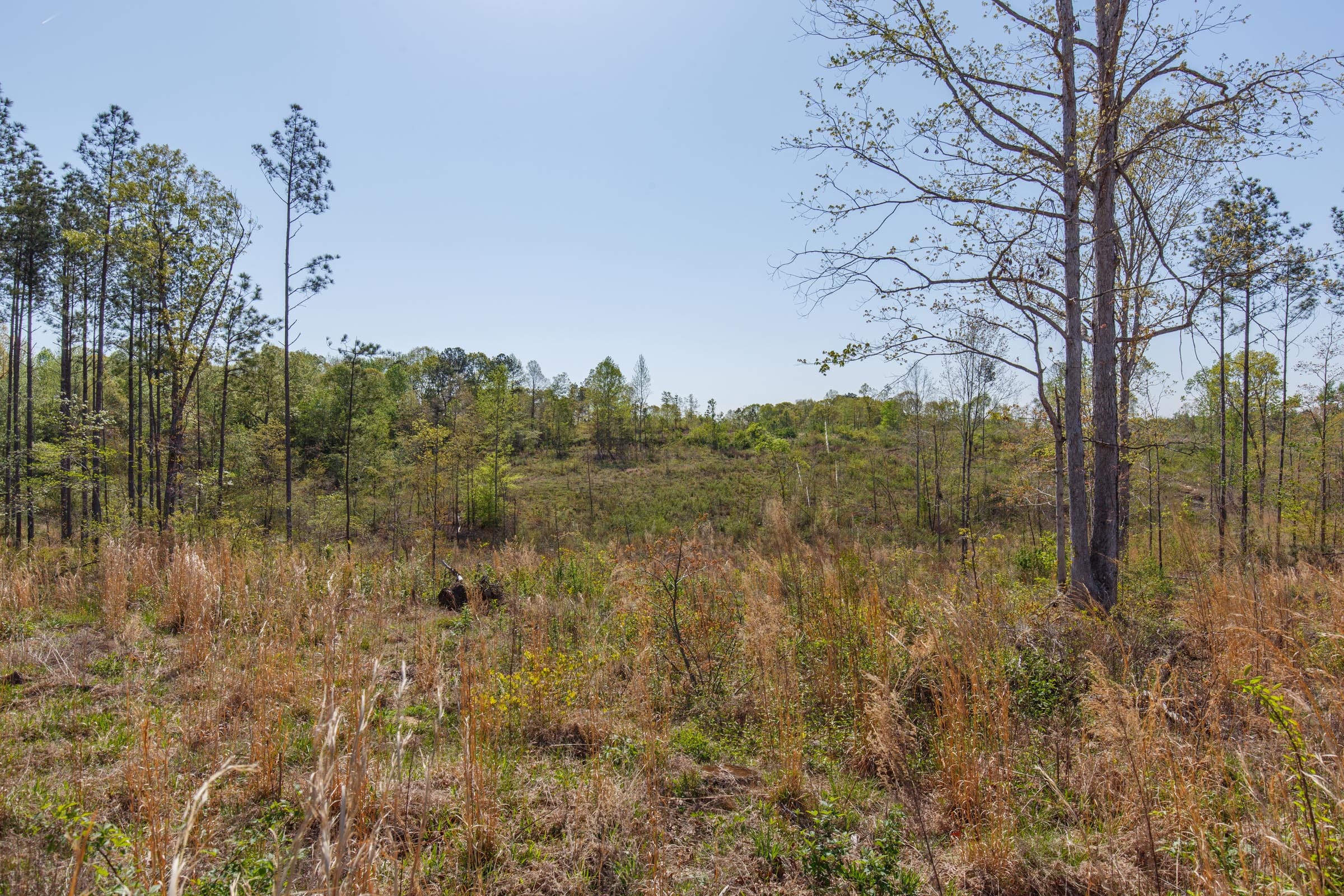 Twin Rivers Tract 4 photo 7