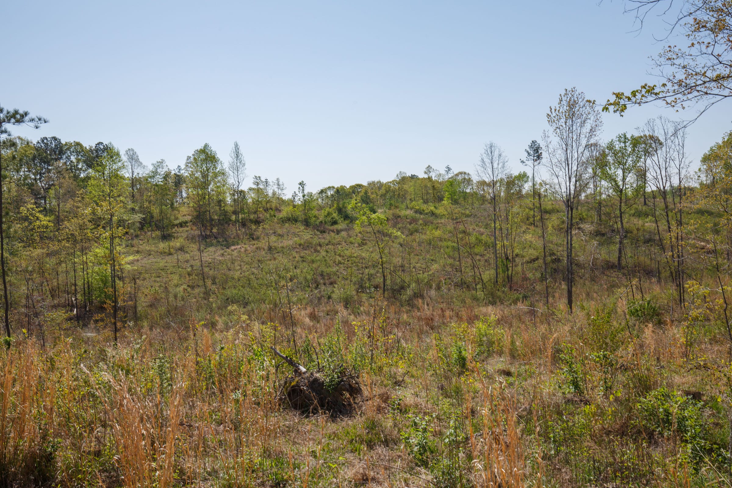 Twin Rivers Tract 4 photo 8
