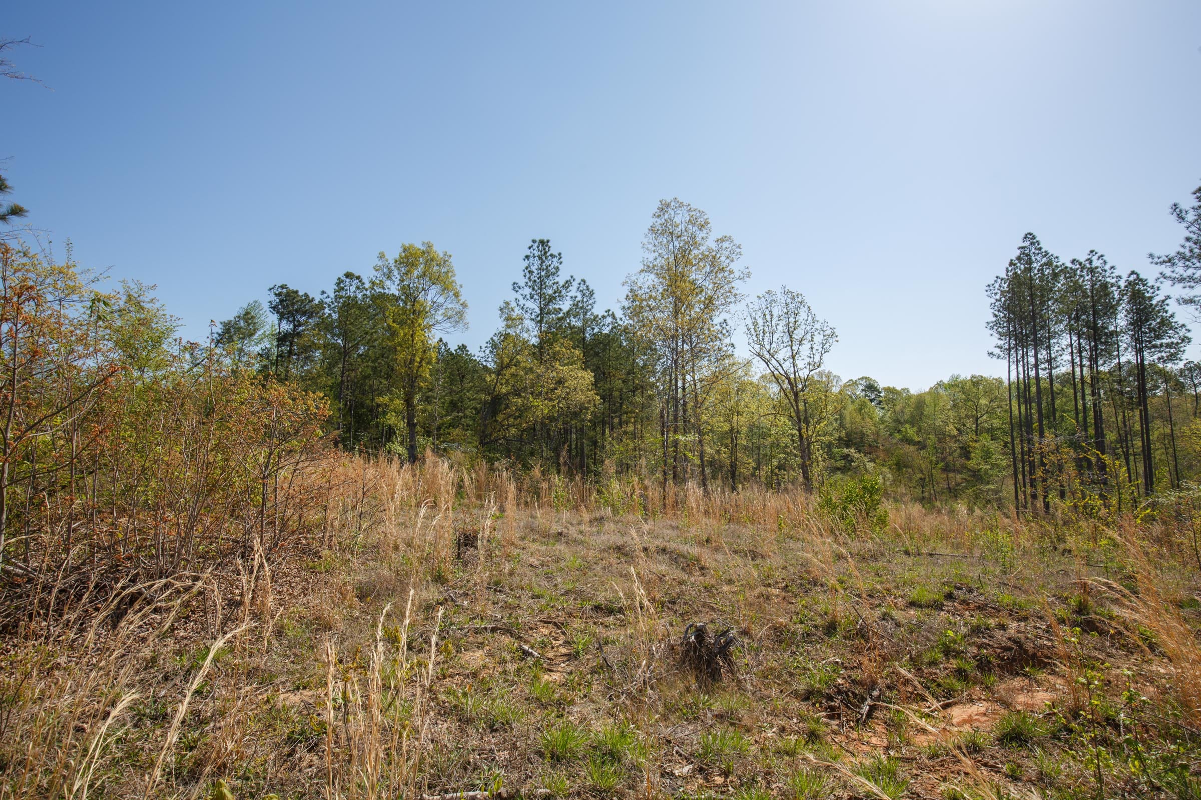 Twin Rivers Tract 4 photo 10