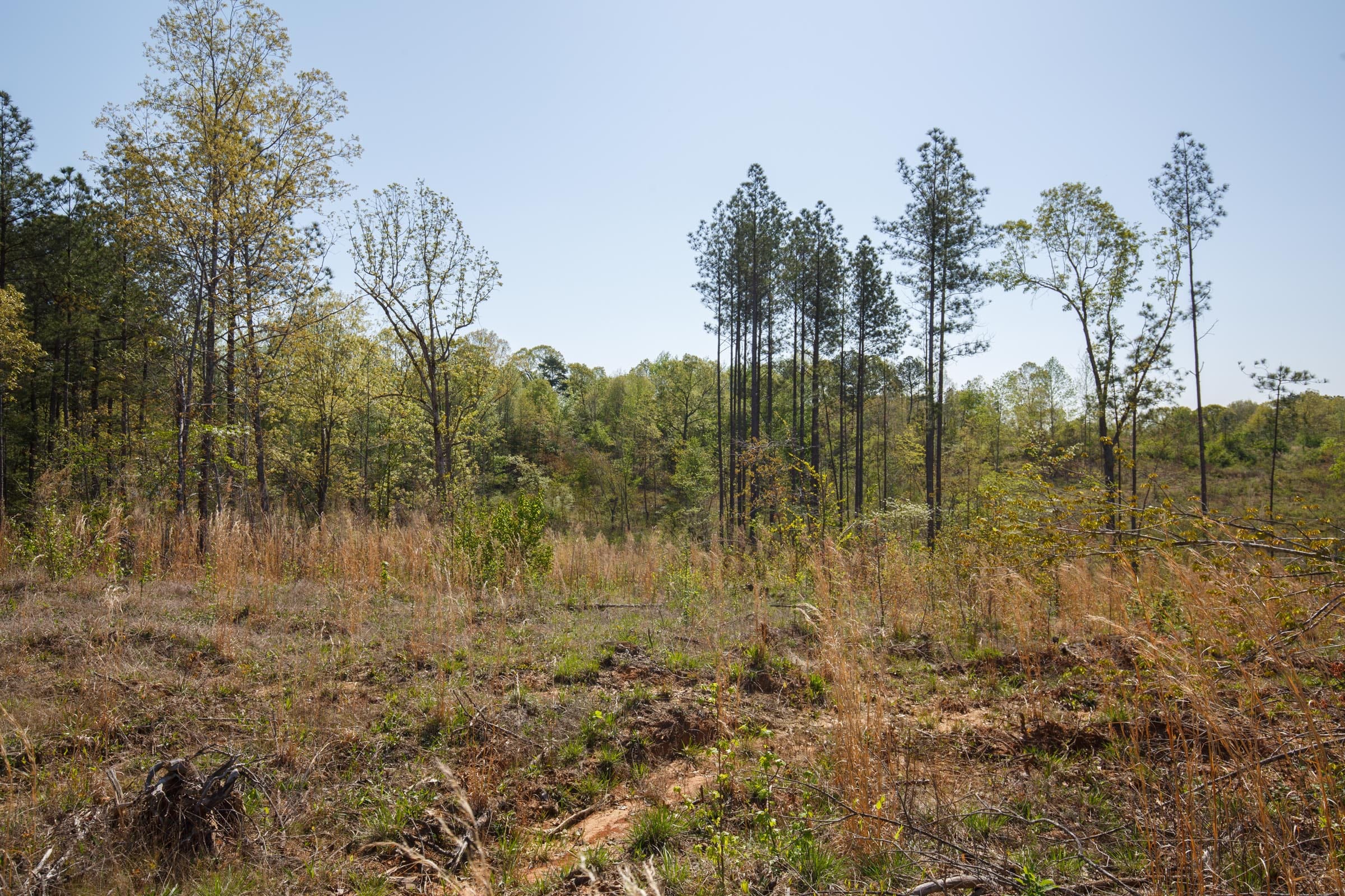 Twin Rivers Tract 4 photo 13