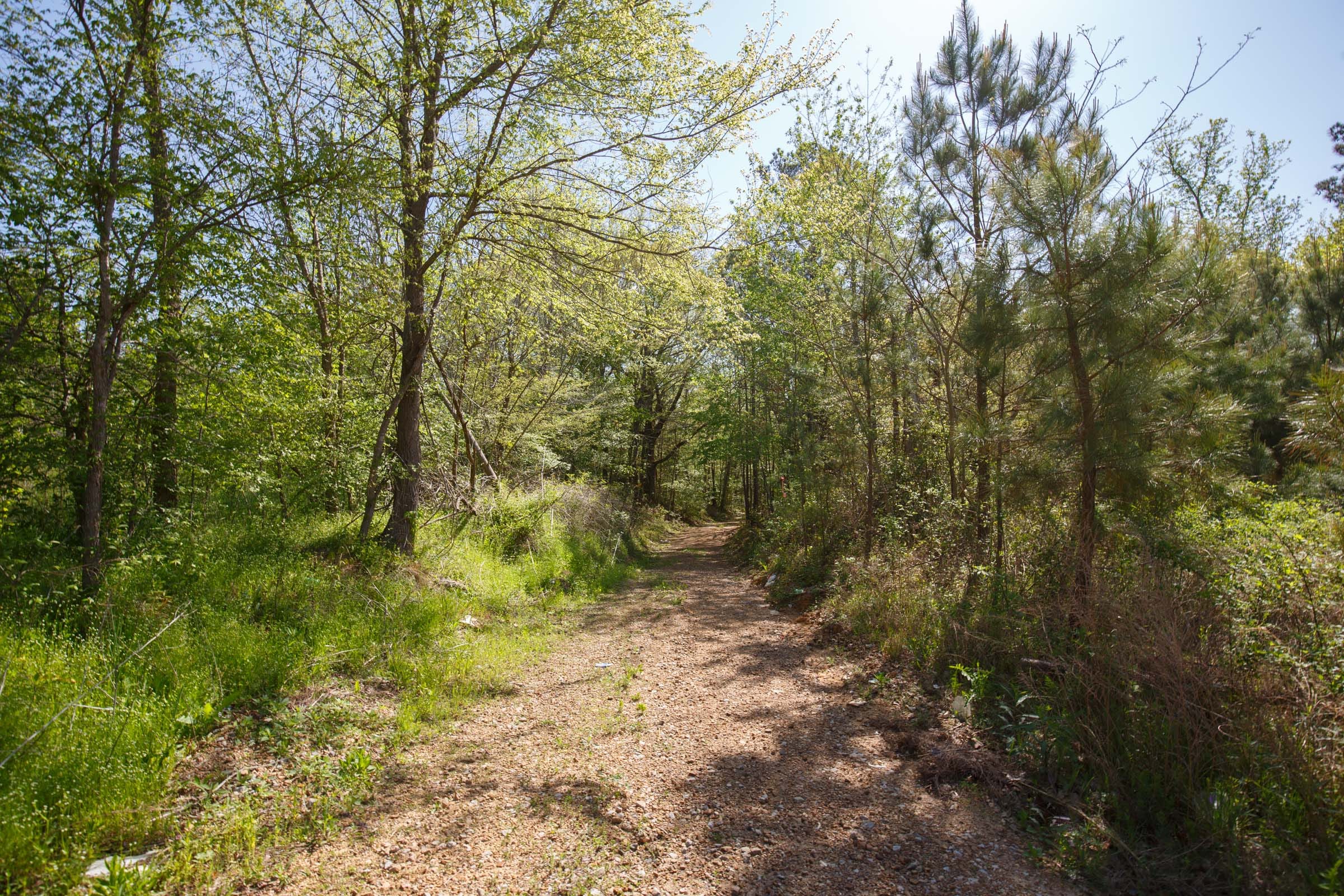 Twin Rivers Tract 4 photo 9