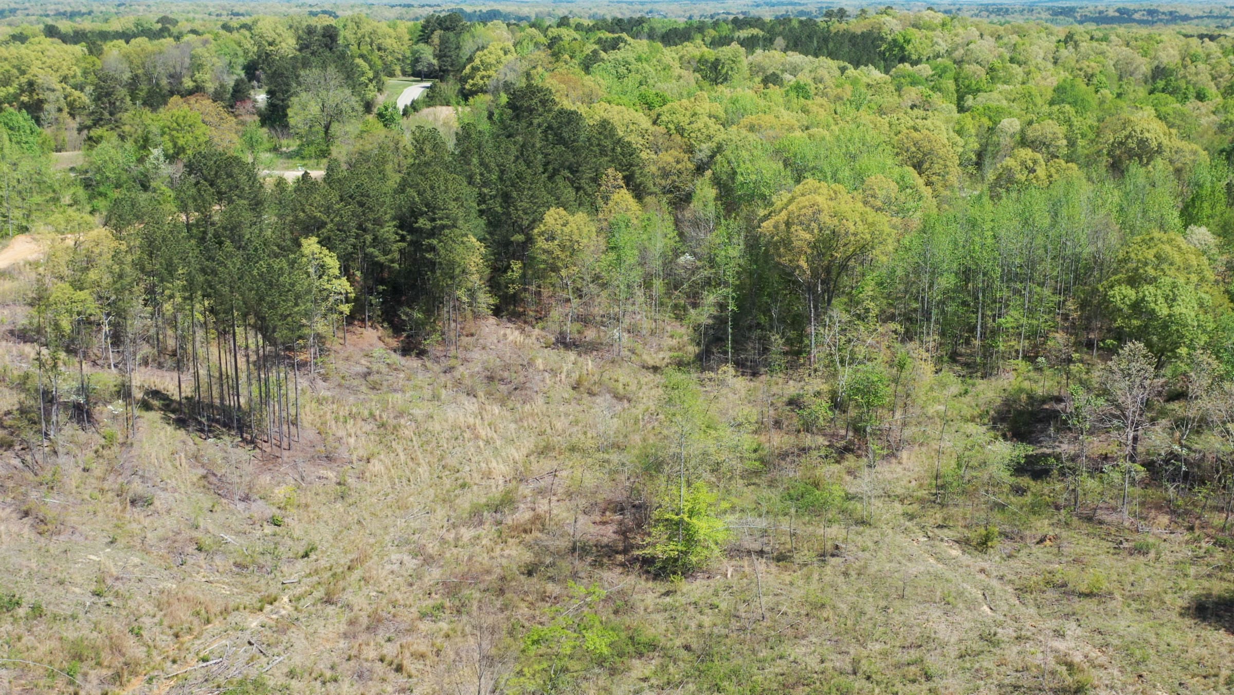 Twin Rivers Tract 4 photo 12