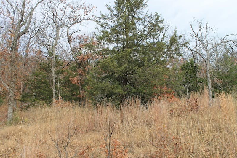 Indian Ridge – Phase I Tract 19 photo 3