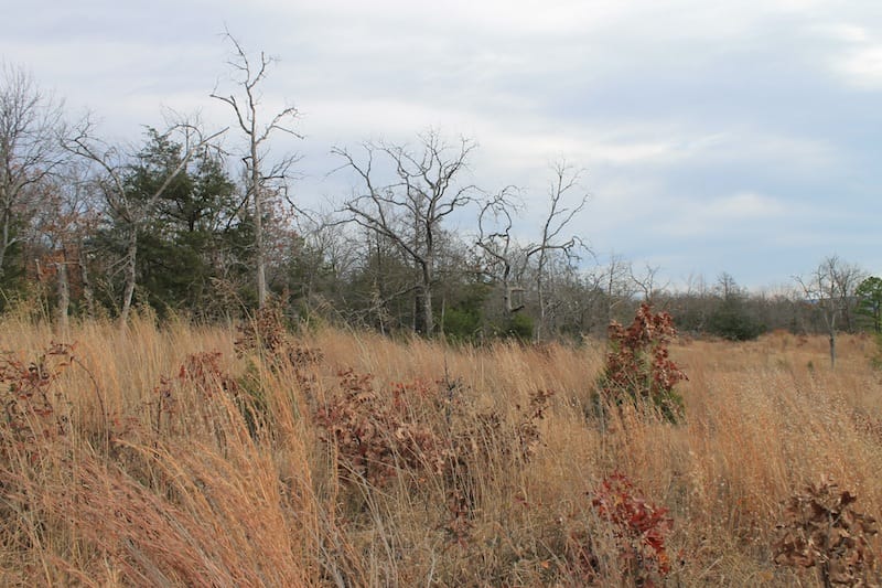 Indian Ridge – Phase I Tract 19 photo 4