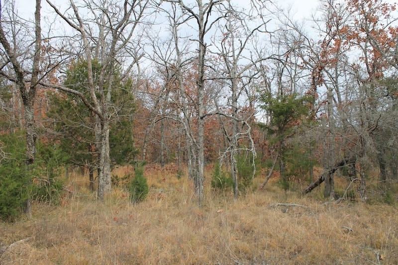 Indian Ridge – Phase I Tract 19 photo 5