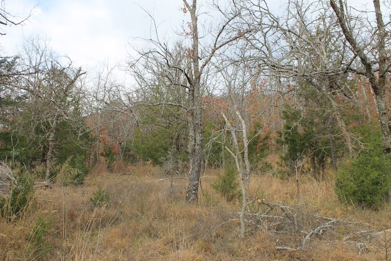Indian Ridge – Phase I Tract 19 photo 6