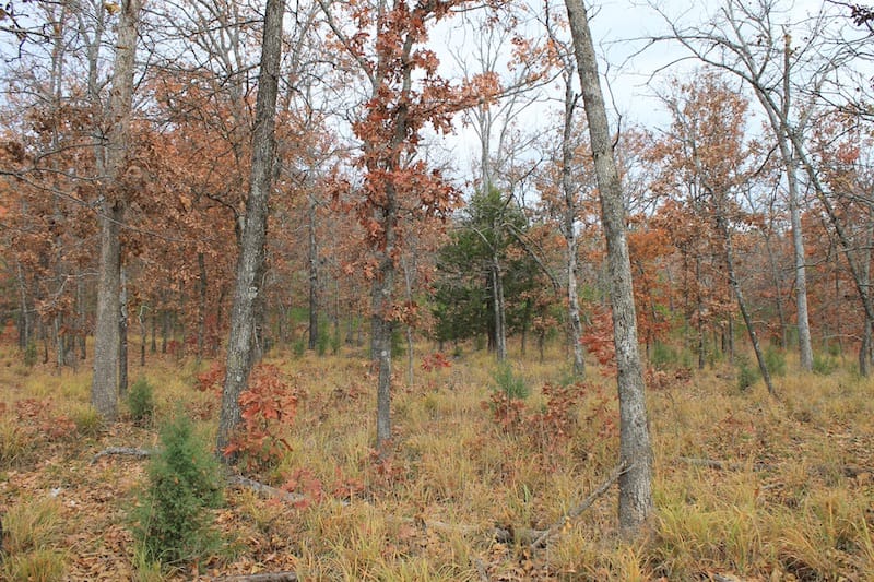 Indian Ridge – Phase I Tract 19 photo 9