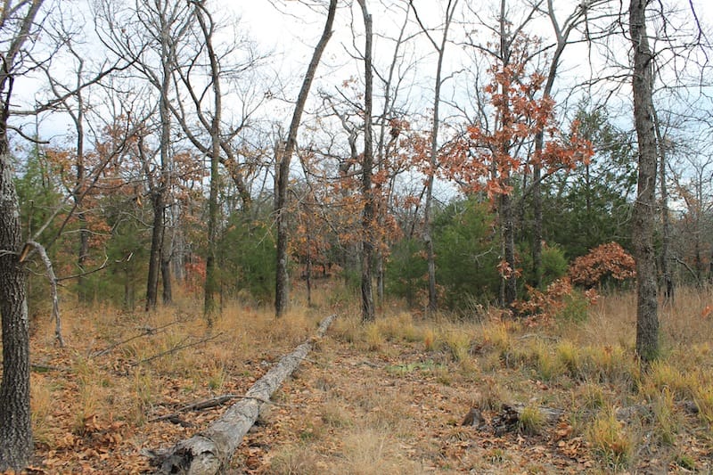 Indian Ridge – Phase I Tract 19 photo 10