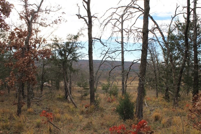 Indian Ridge – Phase I Tract 19 photo 11