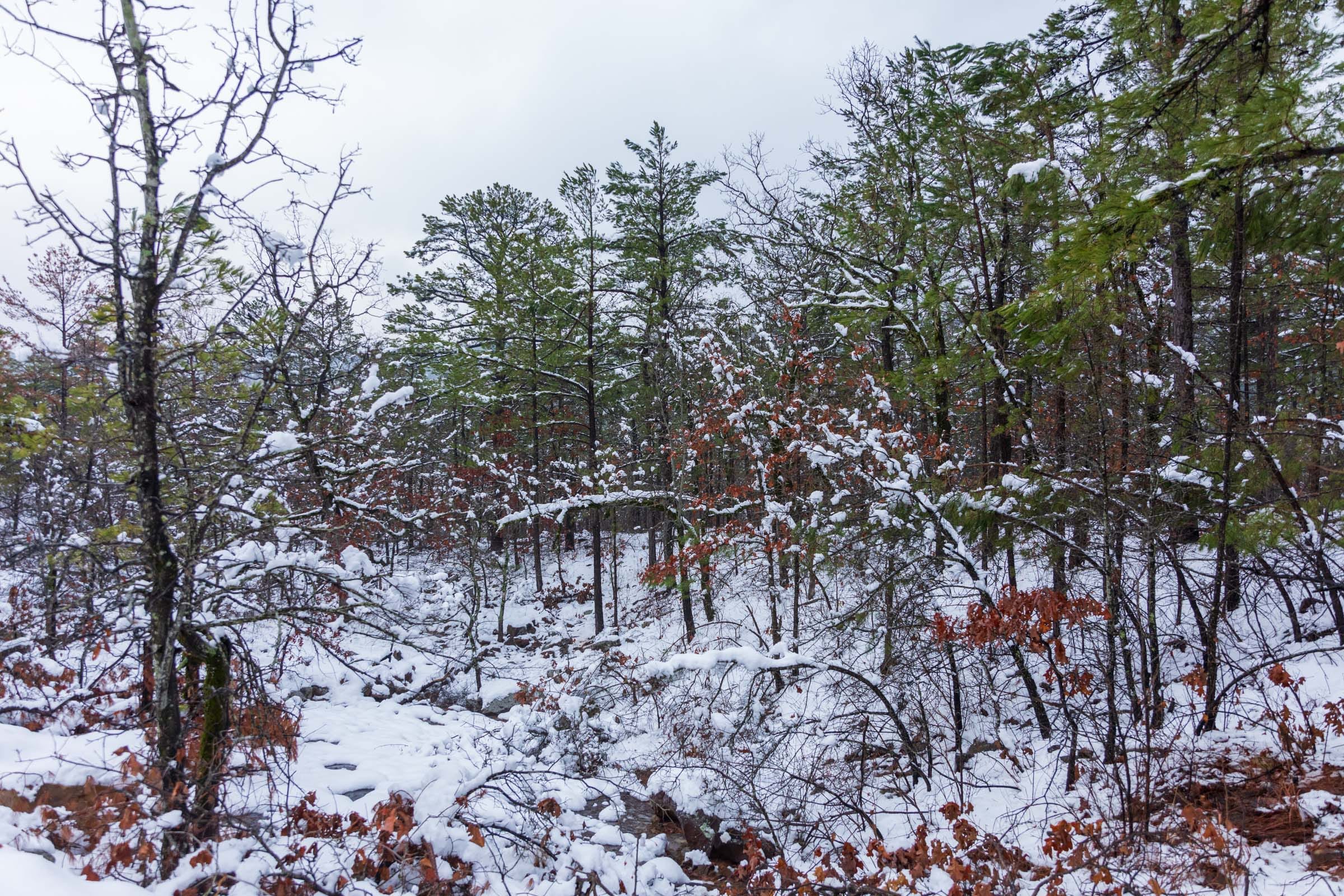Stone Bridge Phase IV Tract 232 photo 13