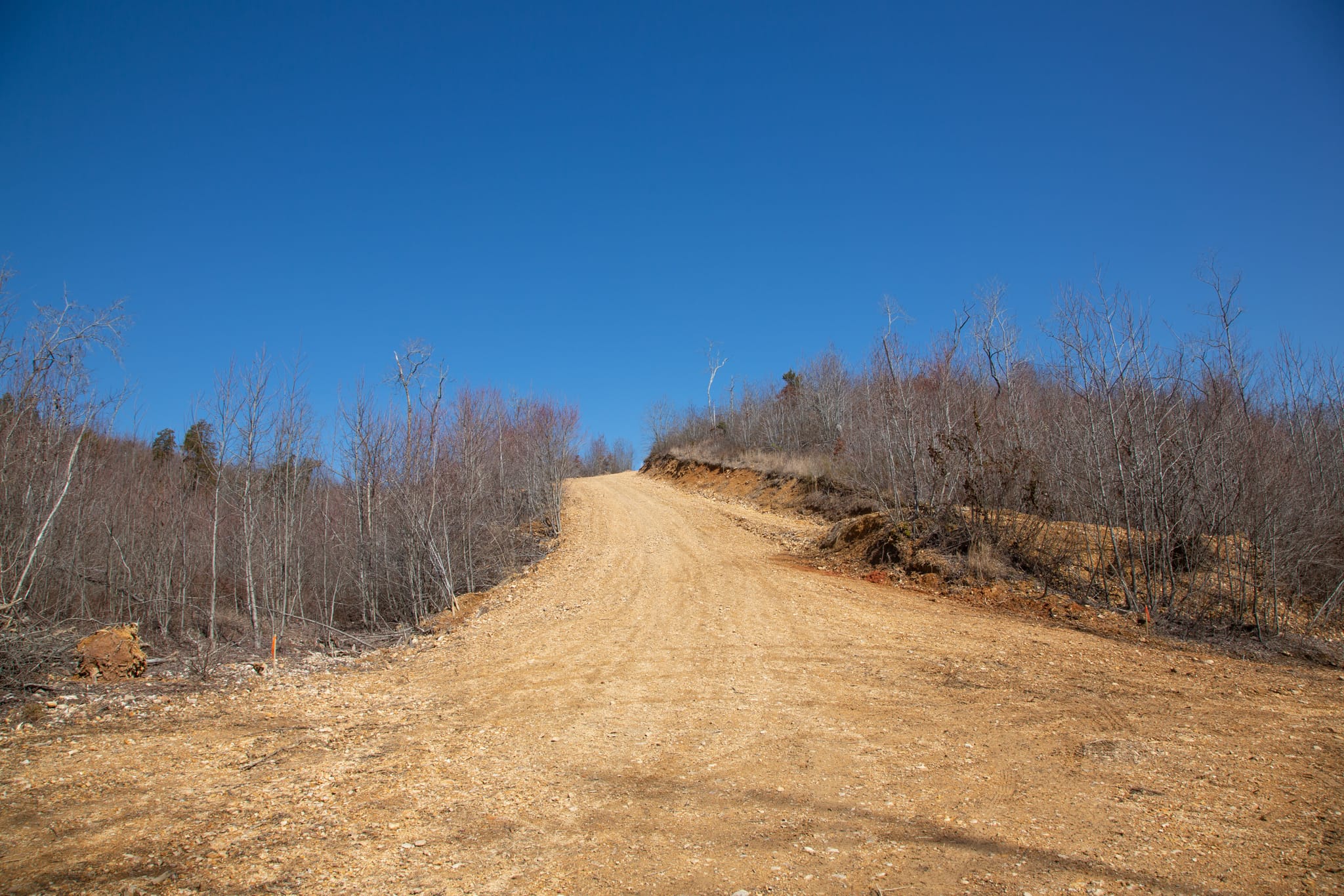 Southwind Ranch Tract 1 photo 7