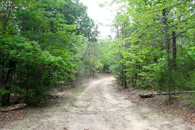 Trophy Ridge Phase II Tract 78 photo 1
