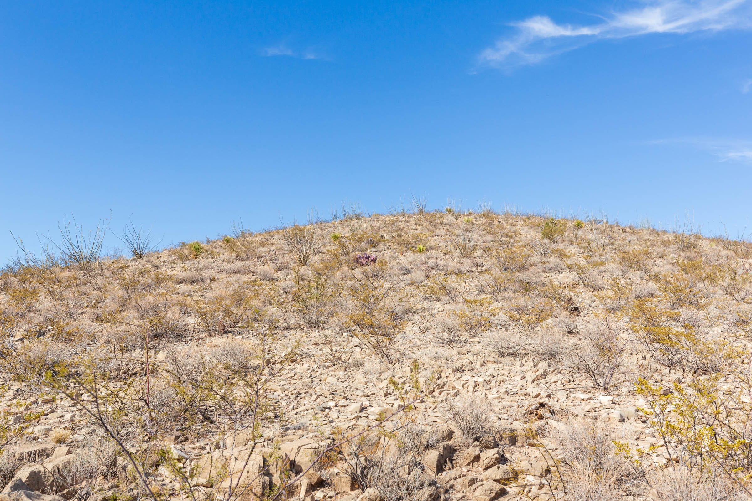 Sunrise Ranches Phase III Tract 111 photo 2